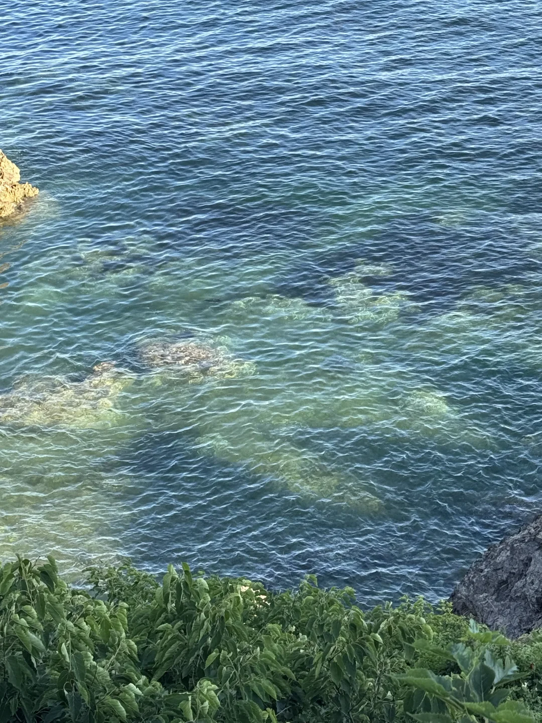 大连！！听劝没去星海，这条路线美翻了（附攻略