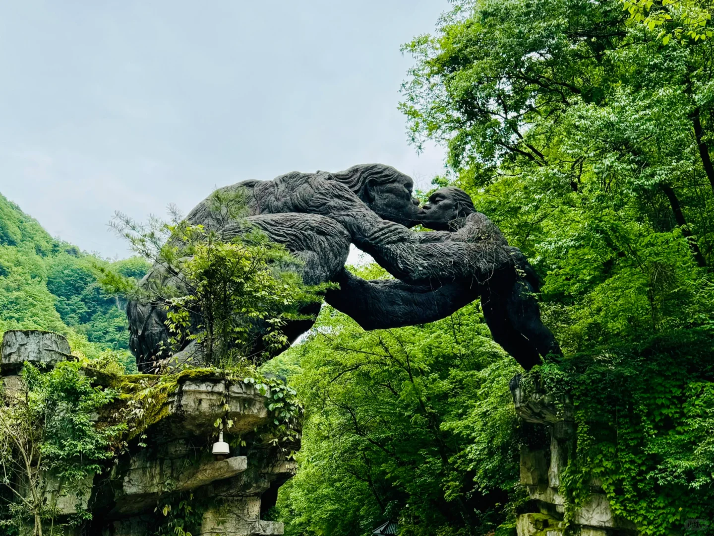 神农架 | 漫步迷雾森林，解锁华中屋脊的神秘
