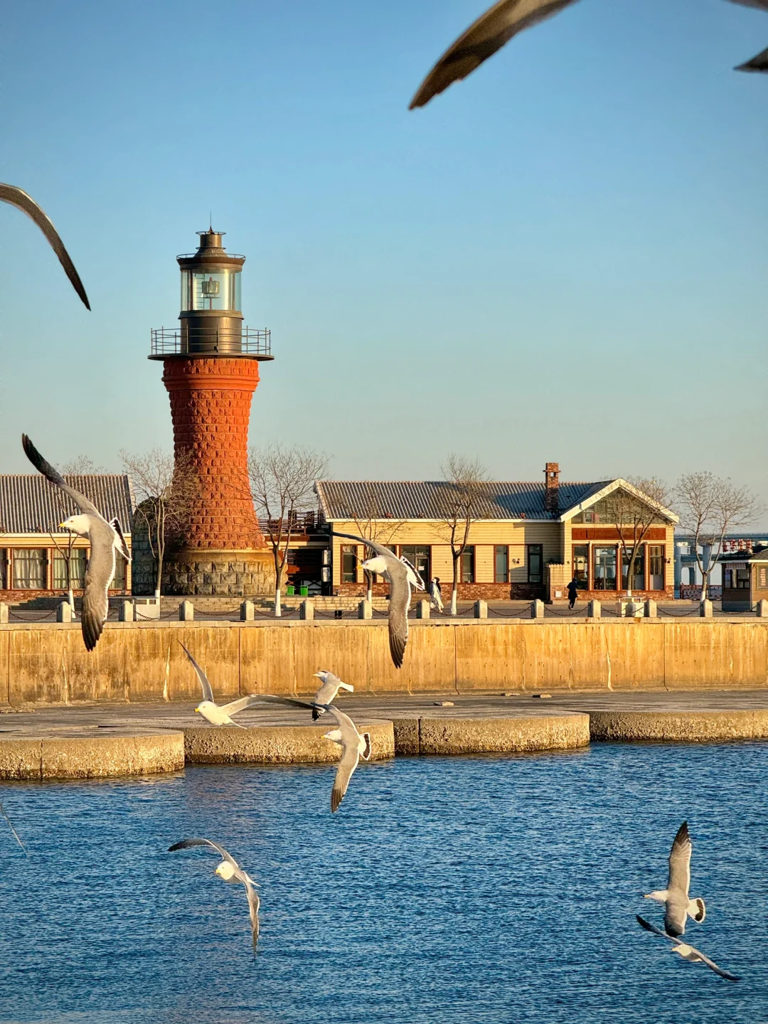 以为威海已经够美了，直到我去了大连……