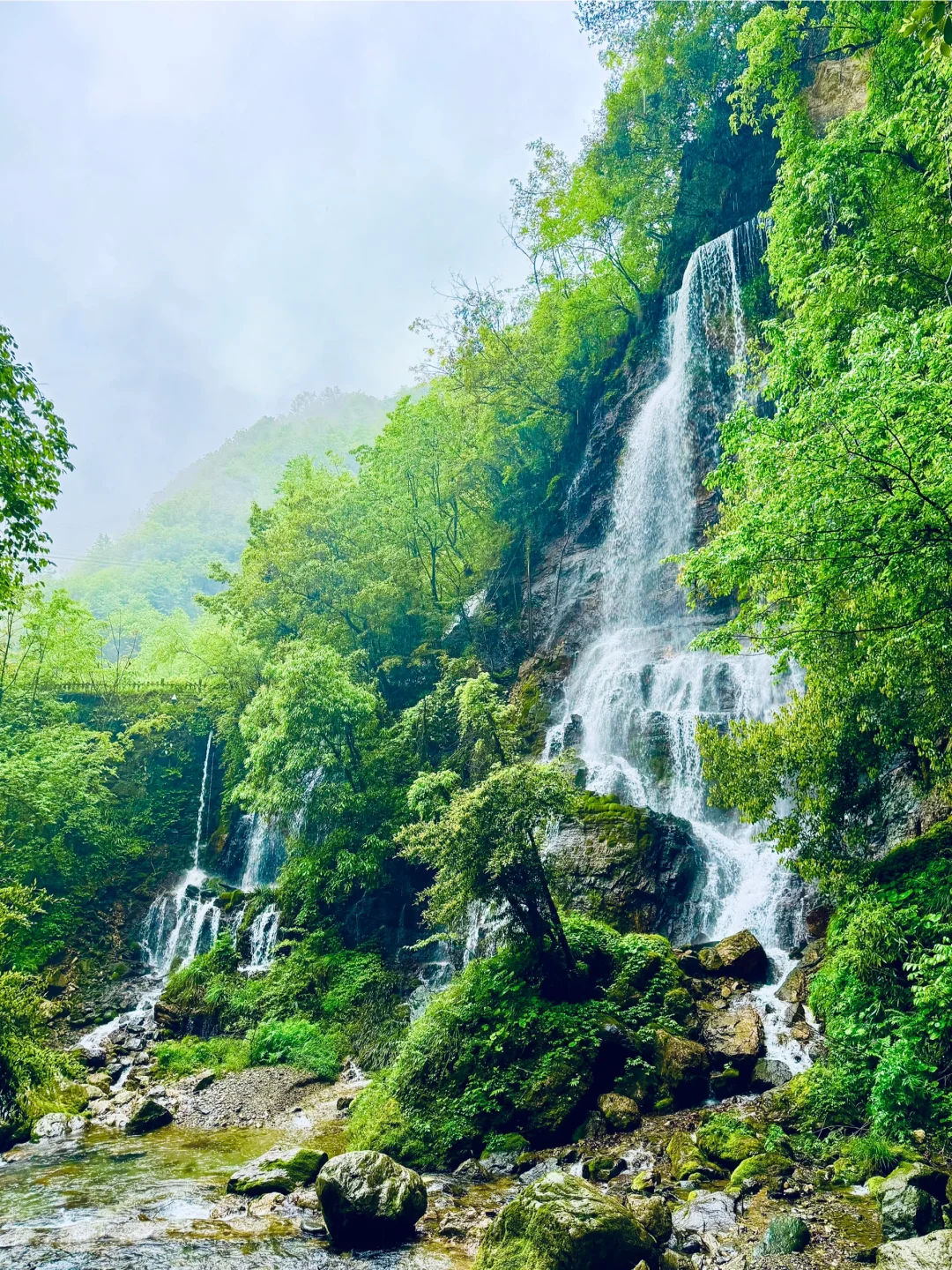 神农架 | 漫步迷雾森林，解锁华中屋脊的神秘