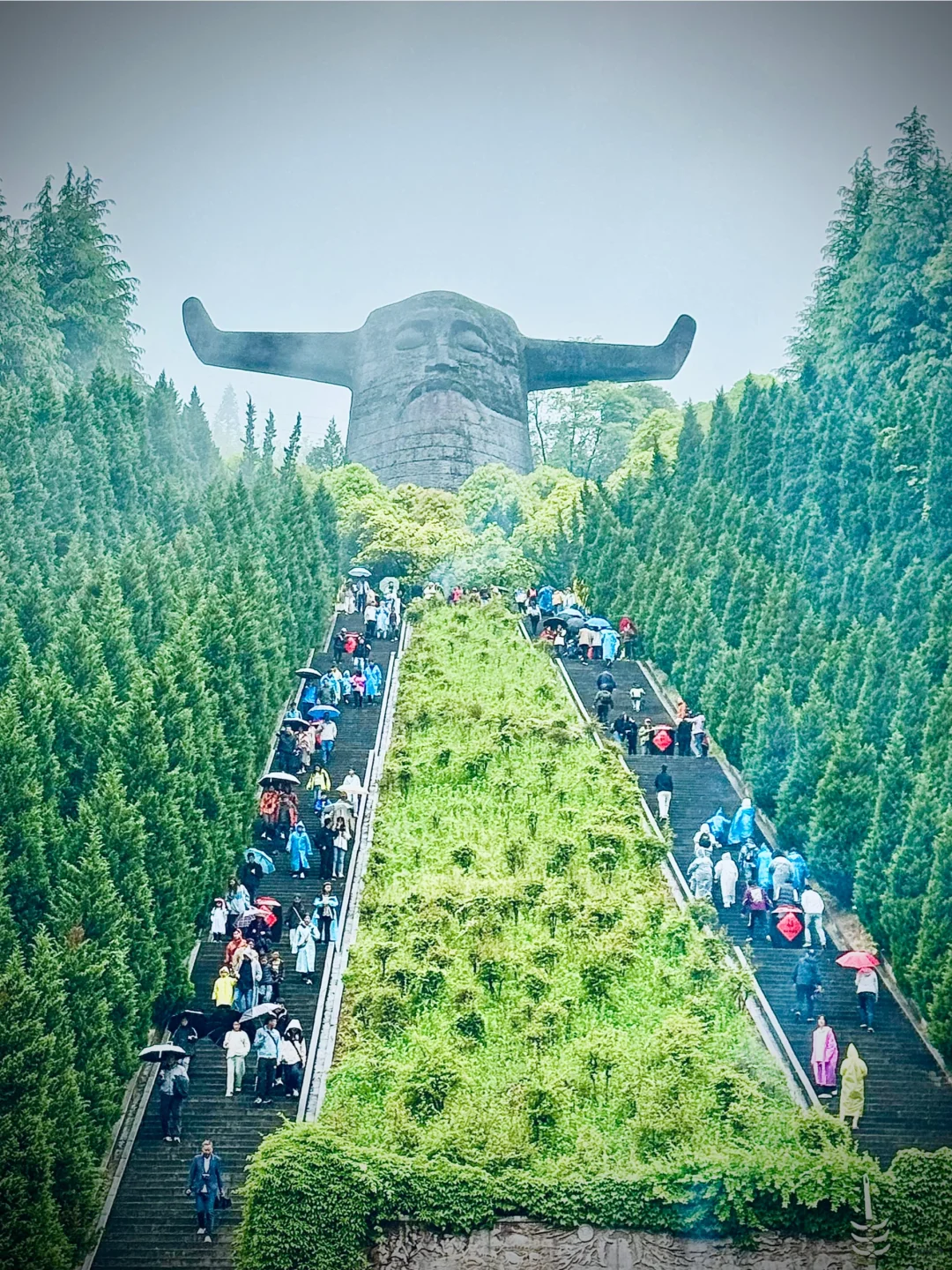 神农架 | 漫步迷雾森林，解锁华中屋脊的神秘