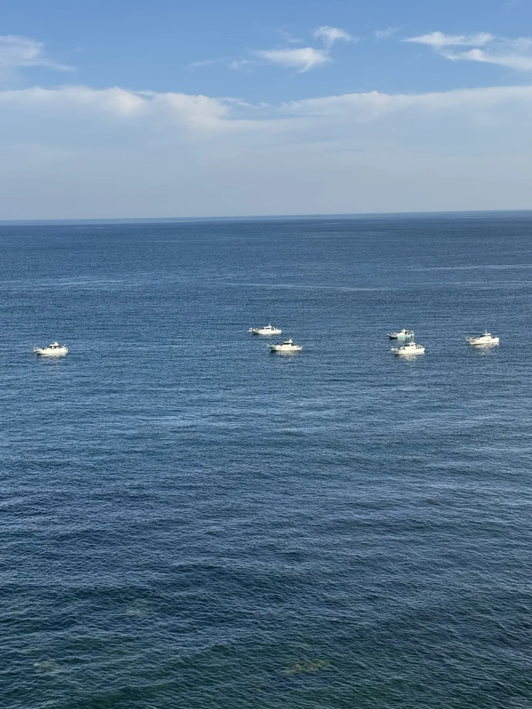 大连！！听劝没去星海，这条路线美翻了（附攻略