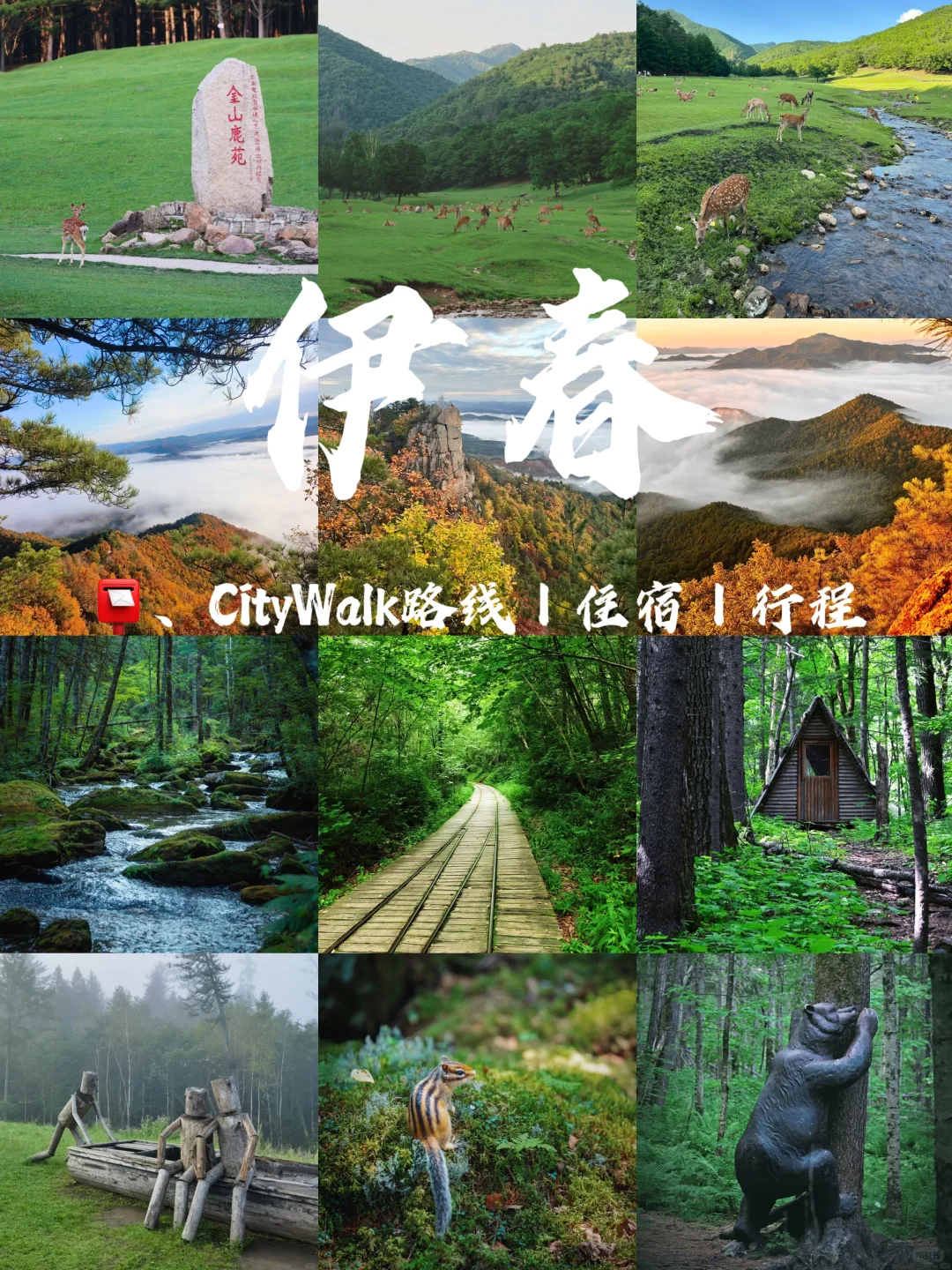 一年去100座城市🎉第98站📍 伊春✅