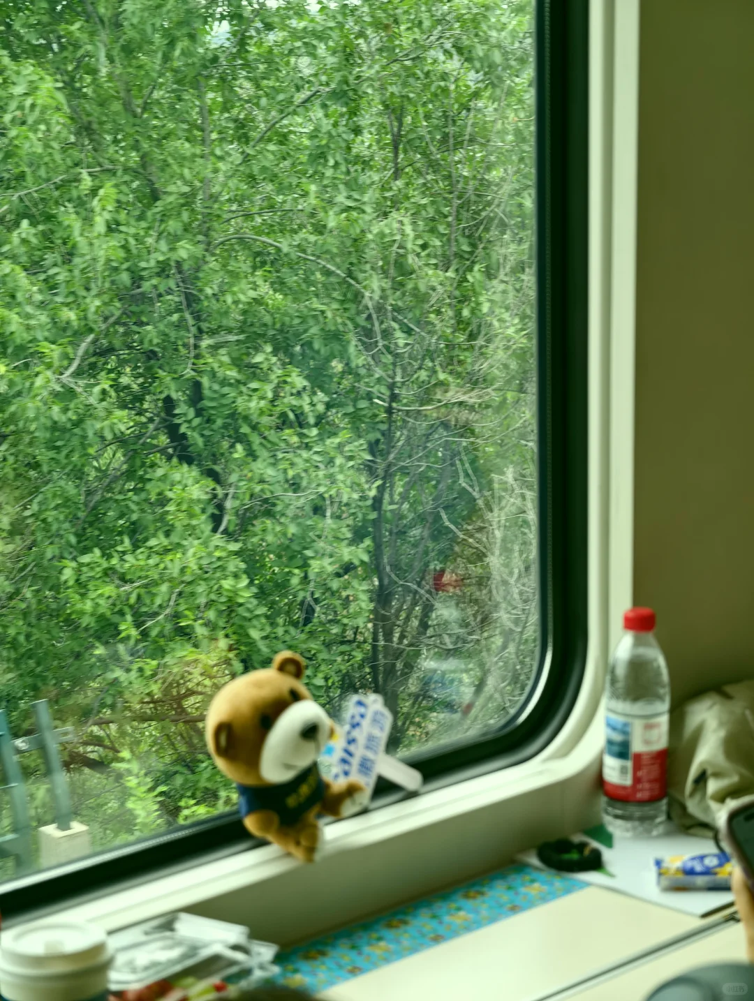 就在国内，我翘首以盼的全景列车终于出现