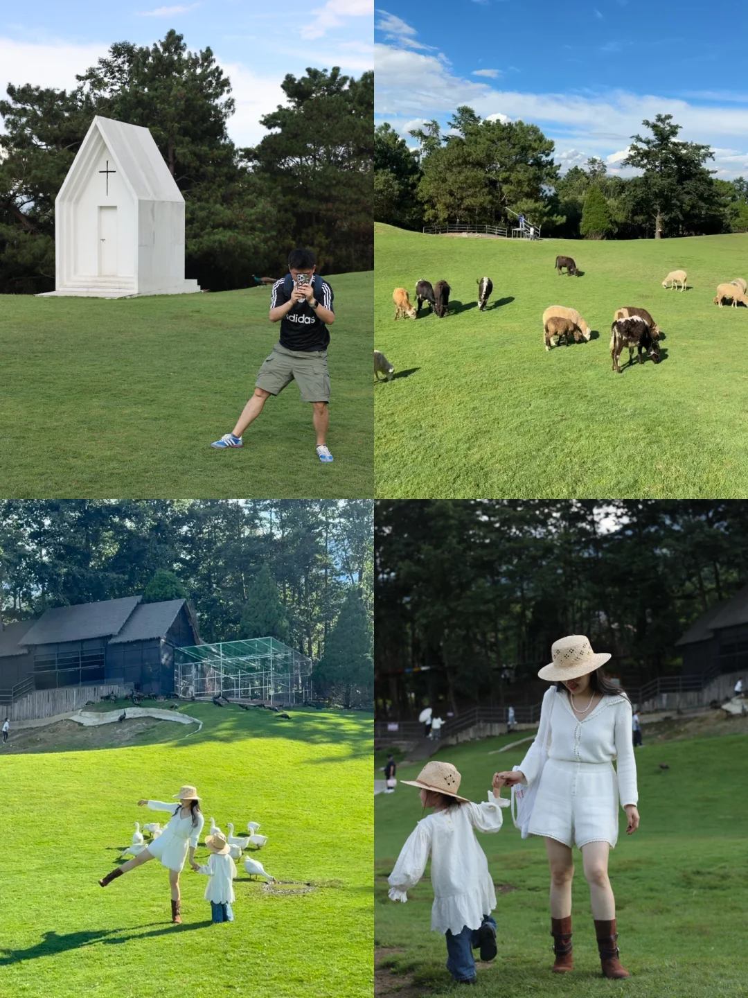 带娃去大理 不费妈的旅游攻略（一）🔥