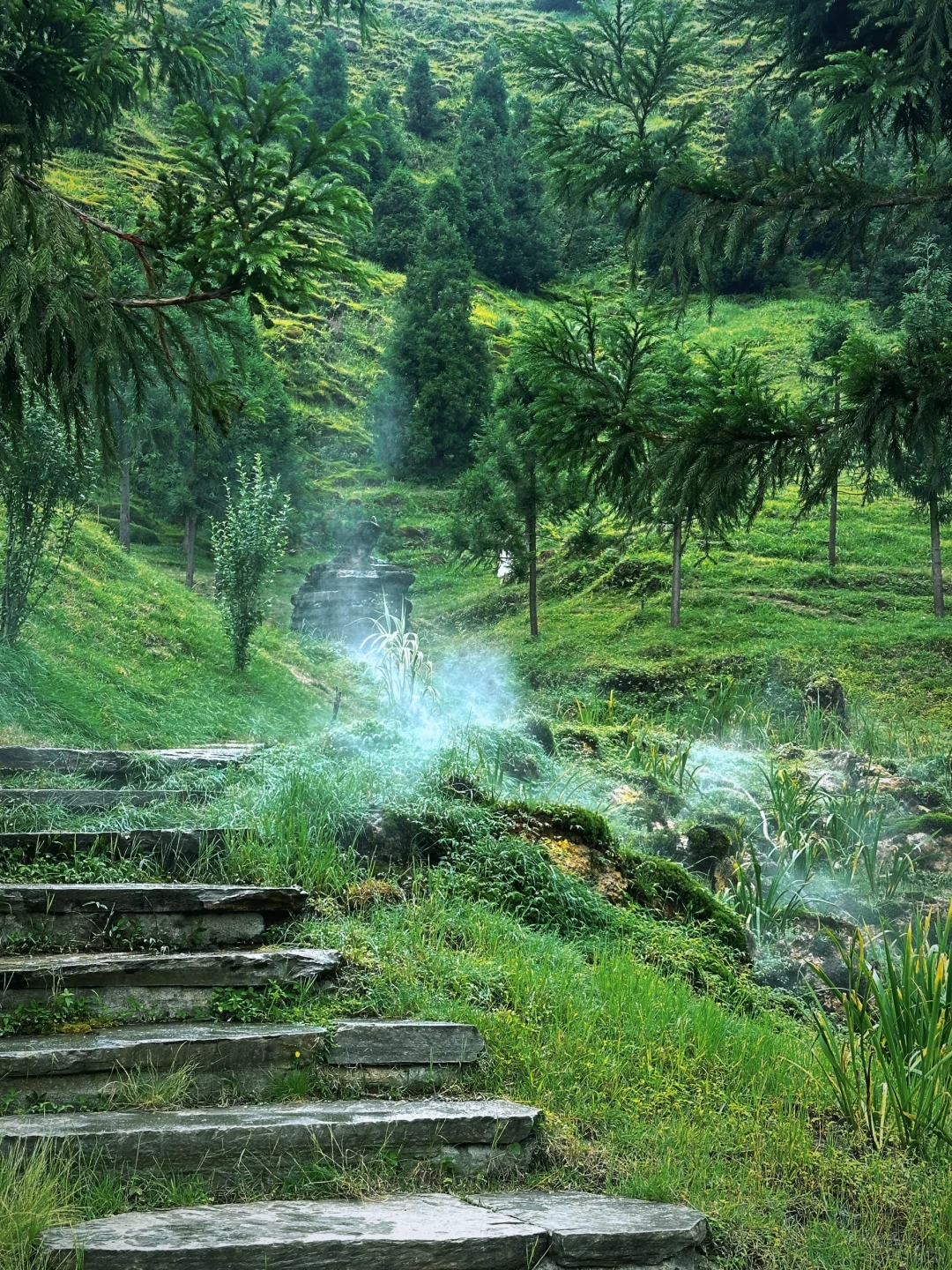 郴州 | 仰天湖大草原🌱