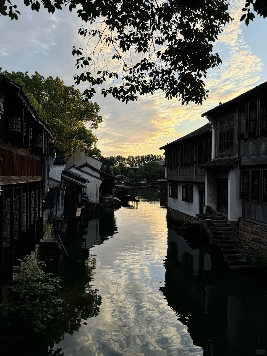 夏天 乌镇🍃