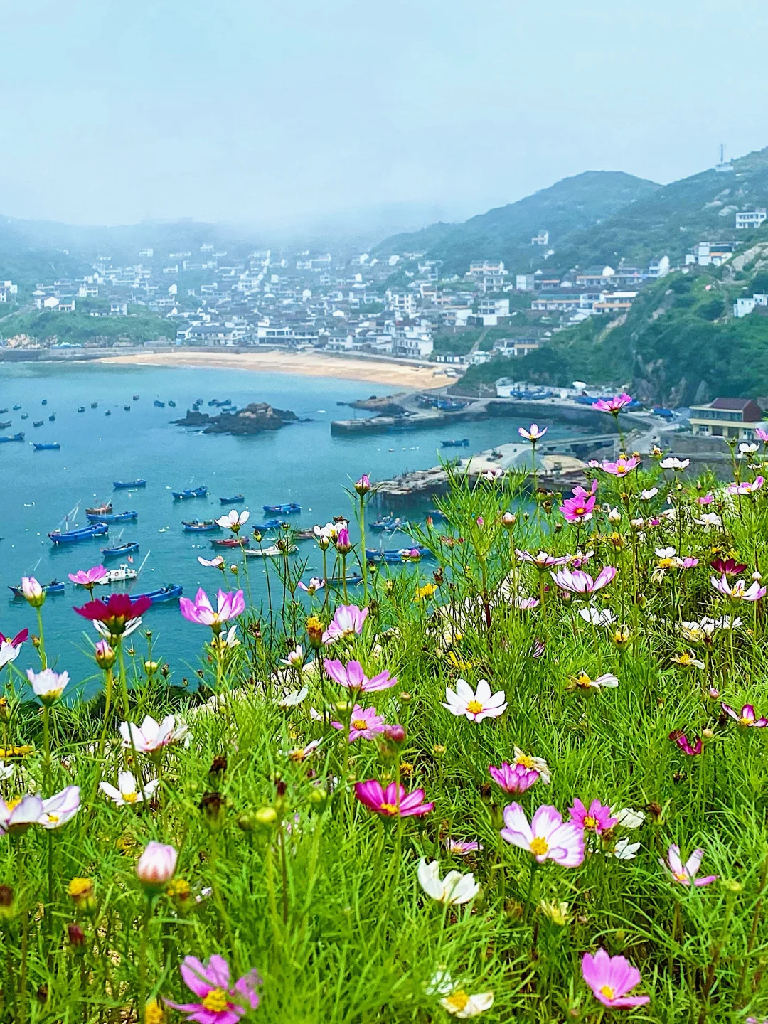 上海周边被《国家地理》推荐的宝藏海岛！真值！