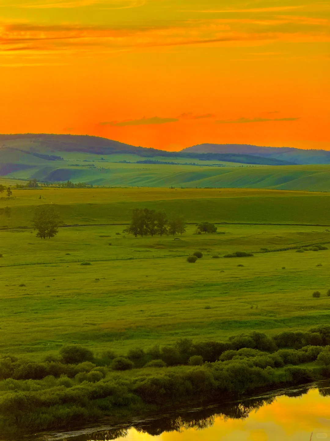 呼伦贝尔晚霞杀疯了！！！！！！！