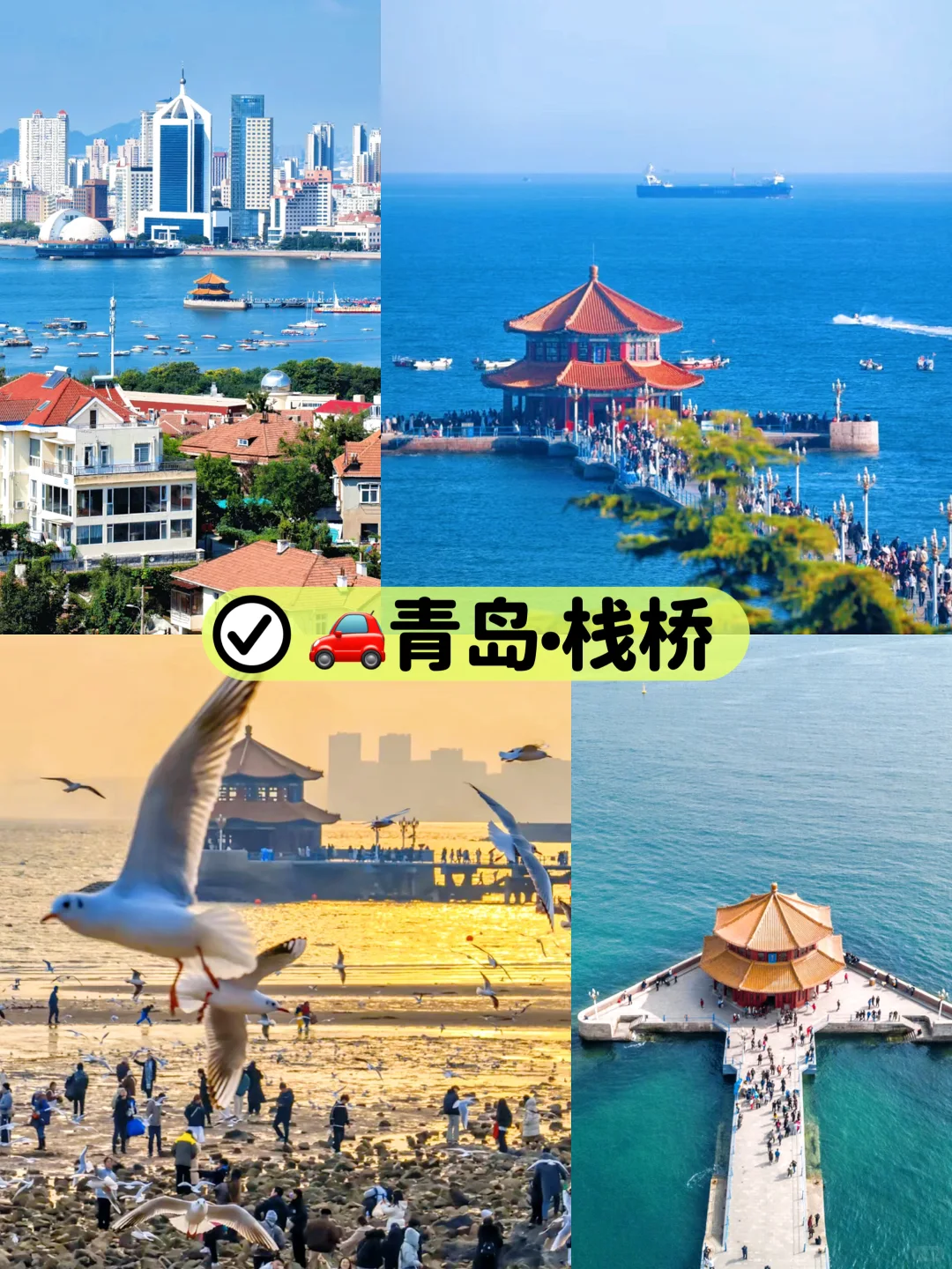 🌊全家去看海|青岛4天人均800+完全够！