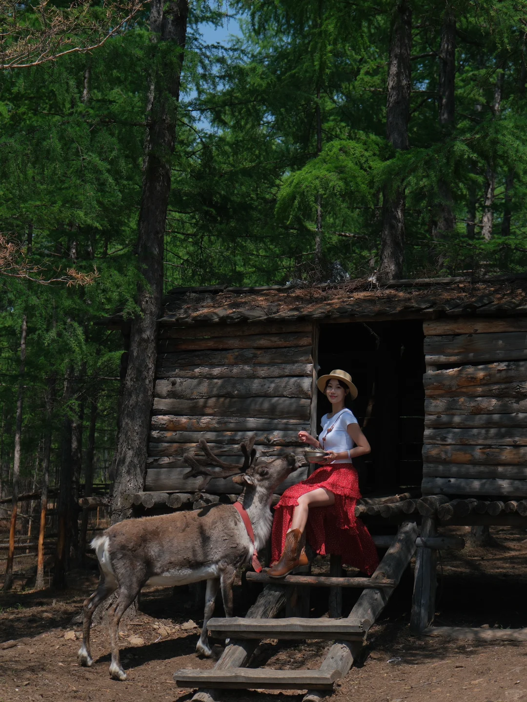 live｜离开呼伦贝尔的后劲比失恋还大😭