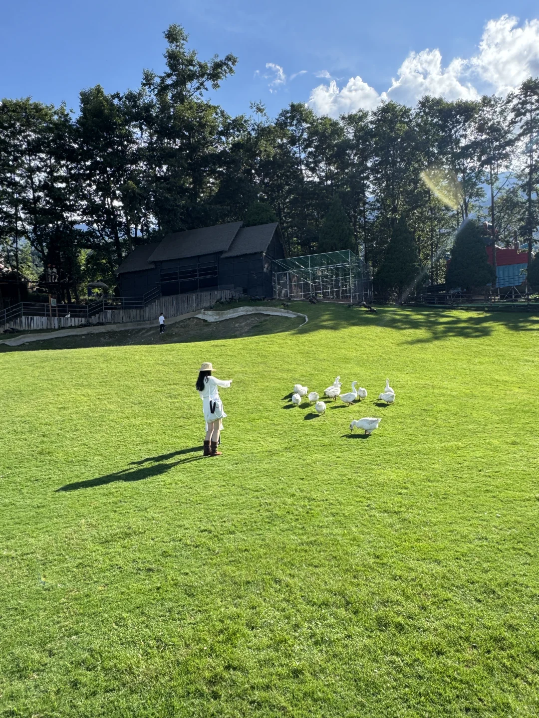 带娃去大理 不费妈的旅游攻略（一）🔥