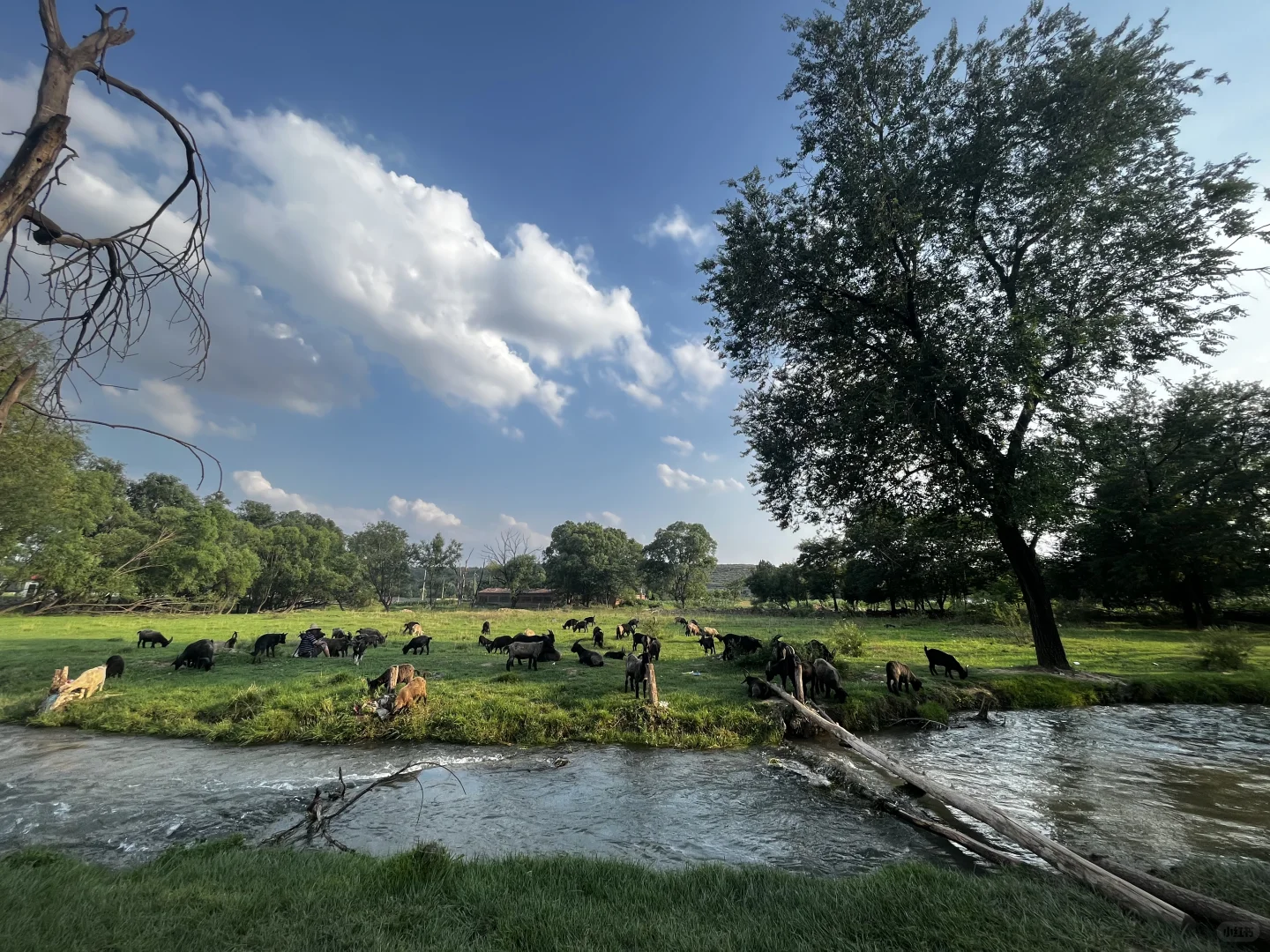 属于河北人自己的阿勒泰