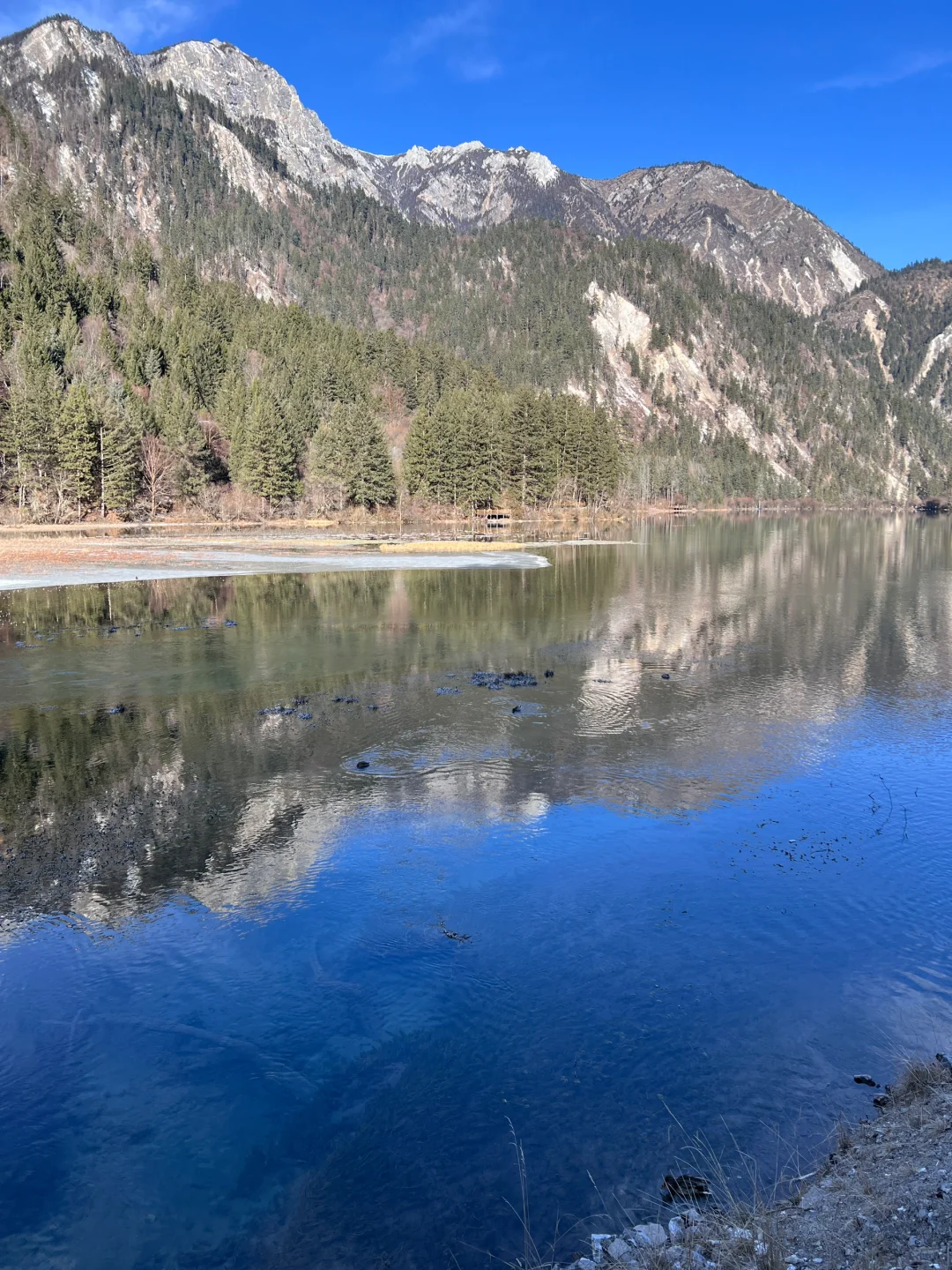 关于九寨沟💧大学生有话要说