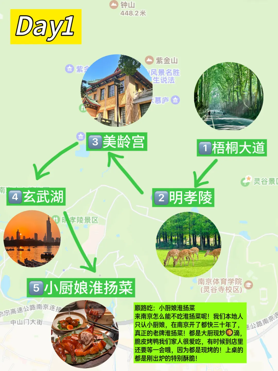 6-8月想来南京游玩的家人们听劝！