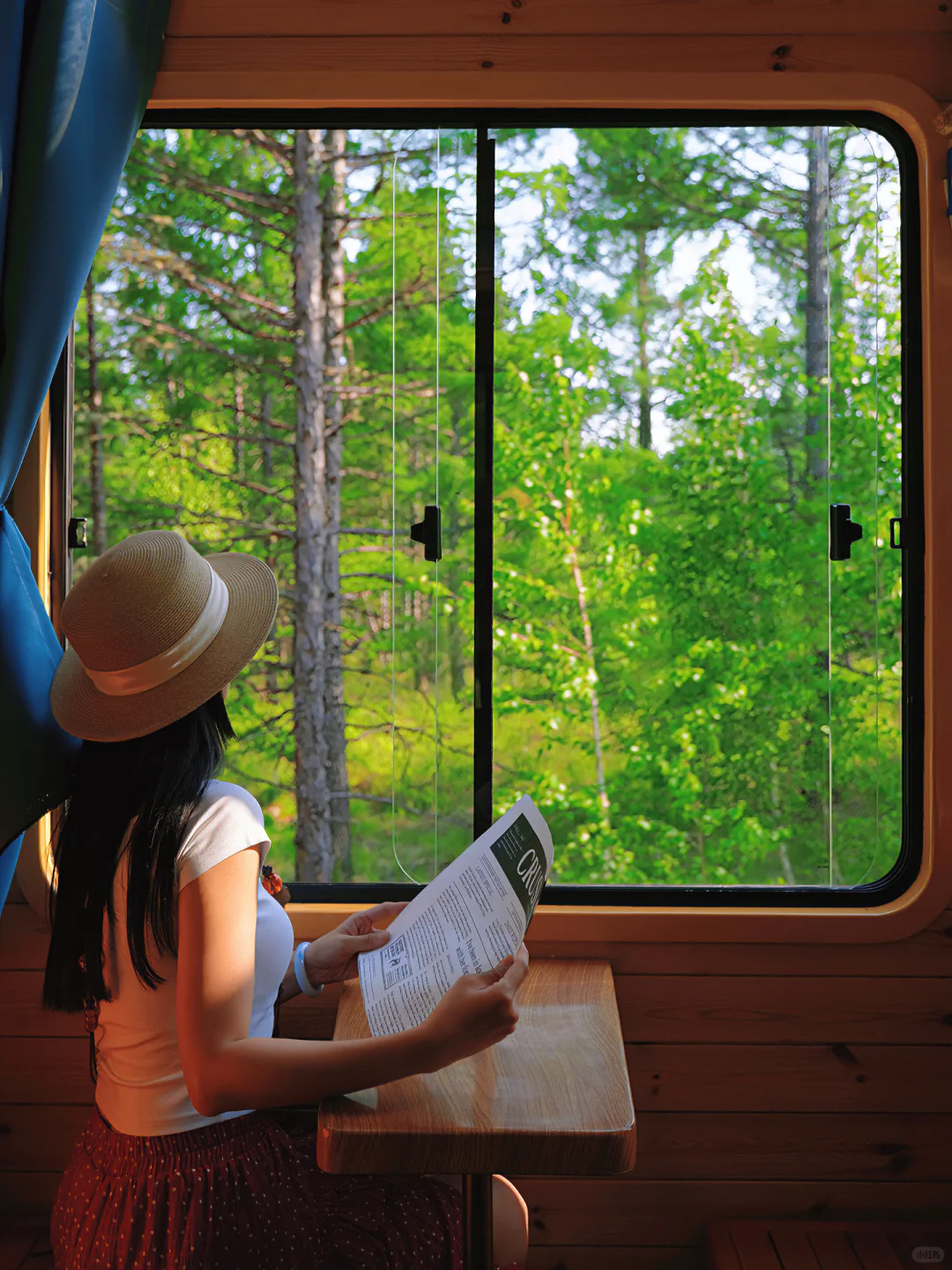 live｜离开呼伦贝尔的后劲比失恋还大😭