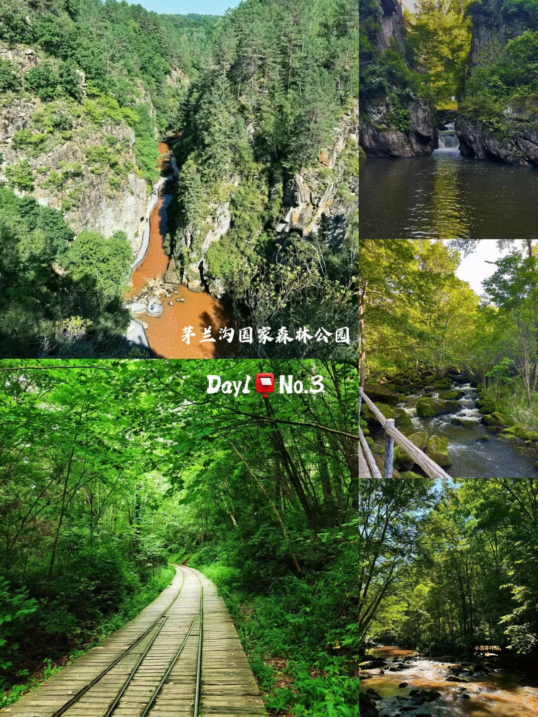 一年去100座城市🎉第98站📍 伊春✅