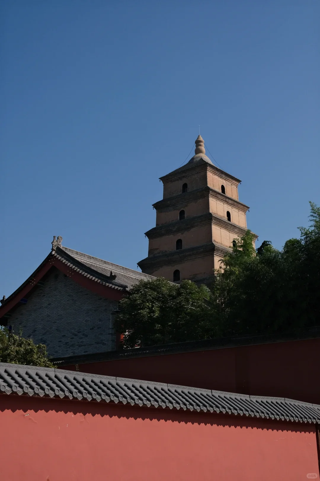 带娃西安跟团已回，强推我报的小团！不是托