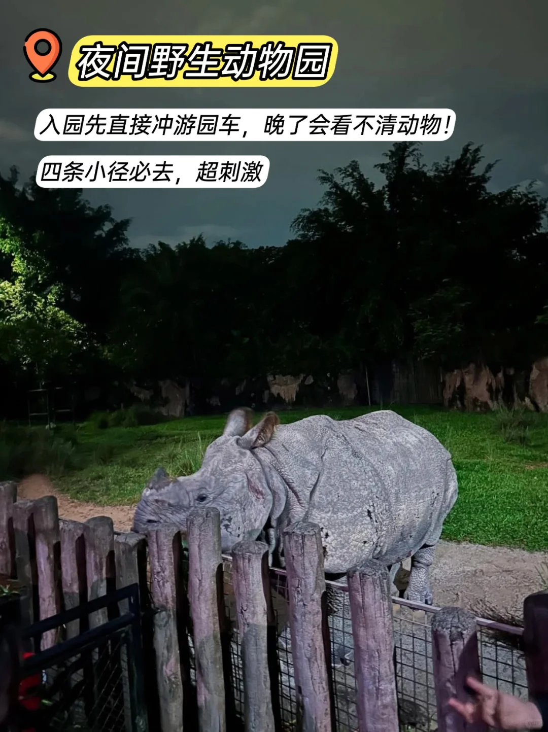 新加坡必玩九大景点‼暑假旅游前必看