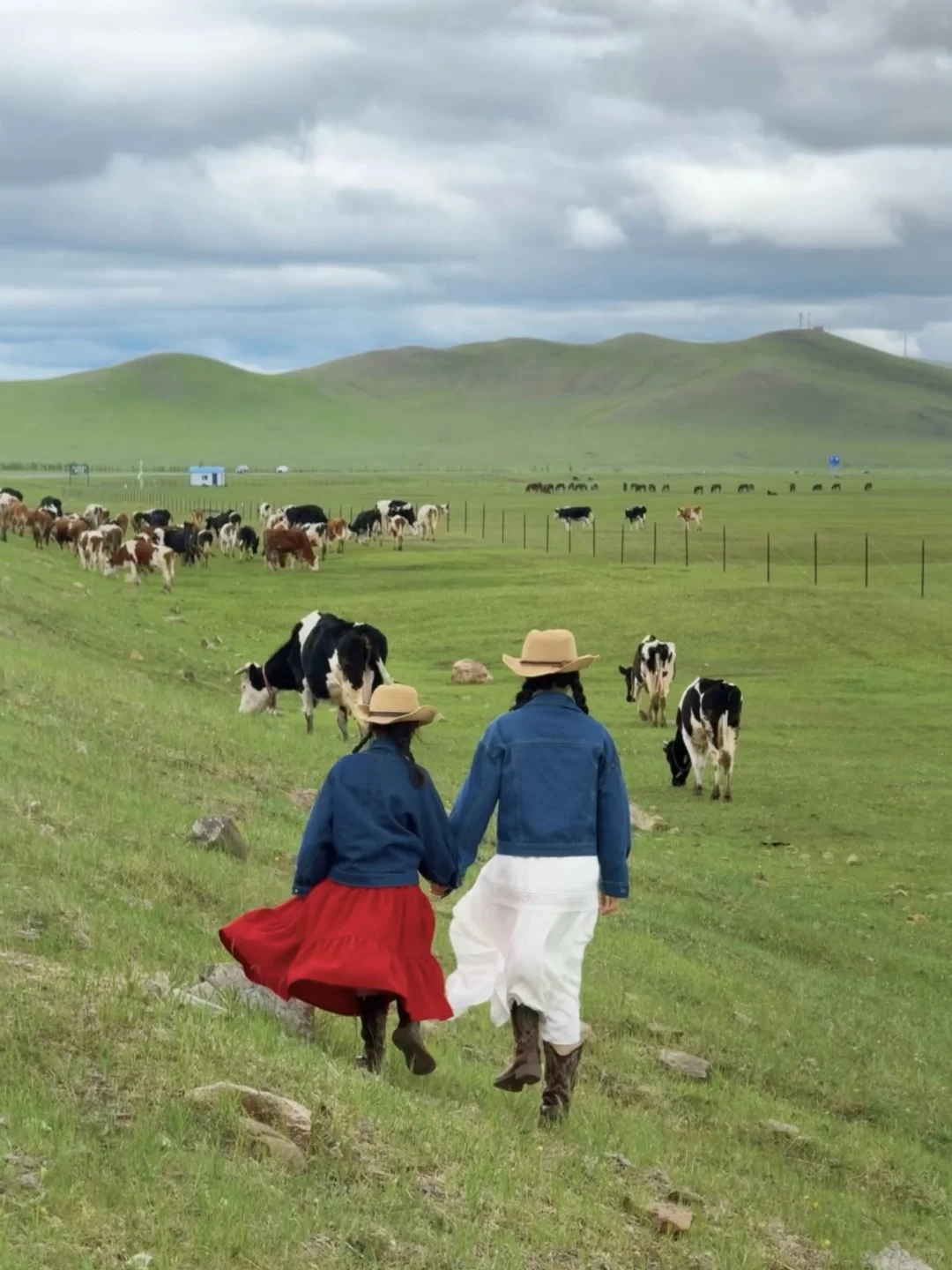 Live图|呼伦贝尔太适合带小胖友来玩了吧~
