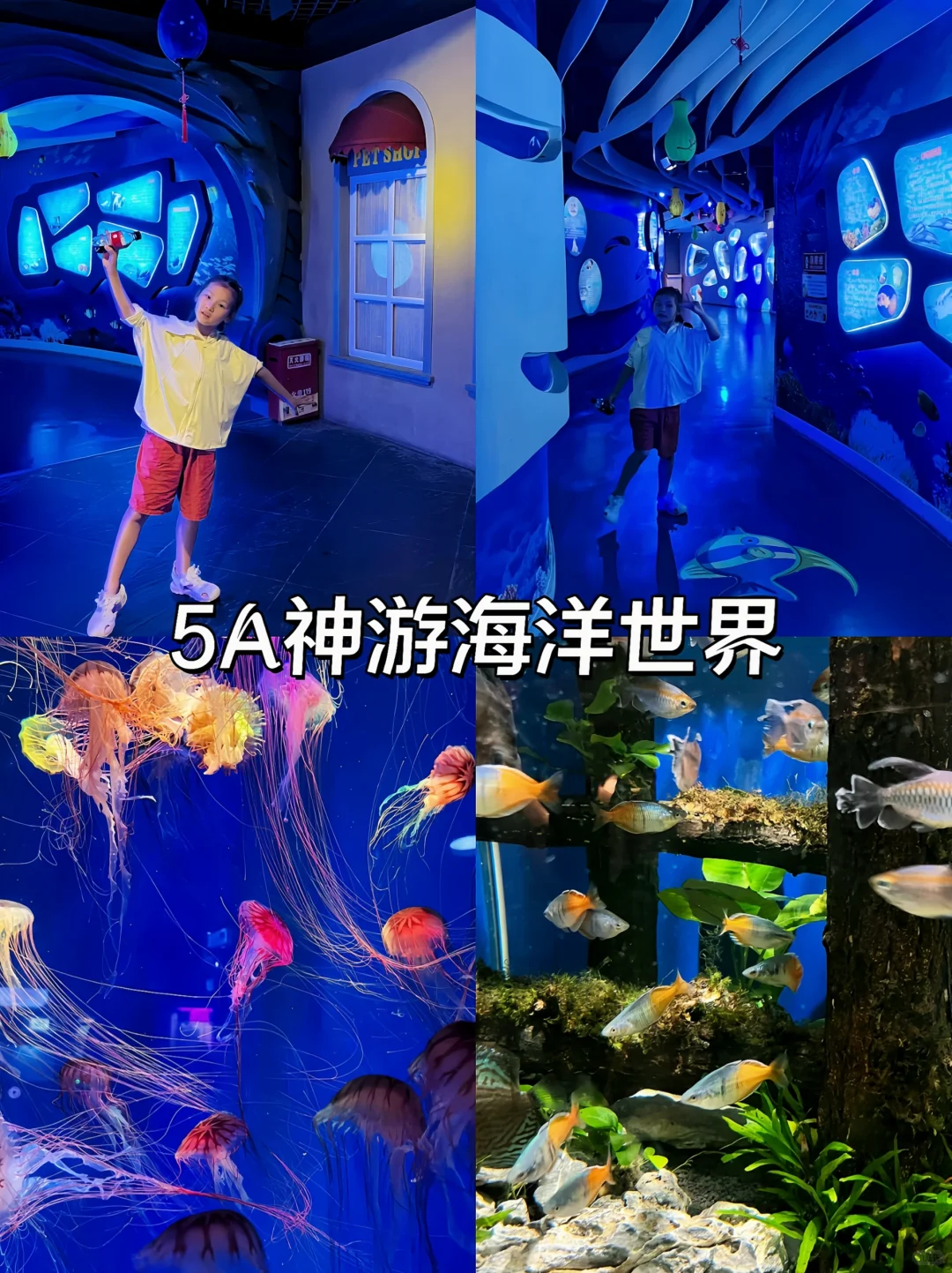 青岛烟台威海5天4晚神仙行程|人均1k+玩到爽