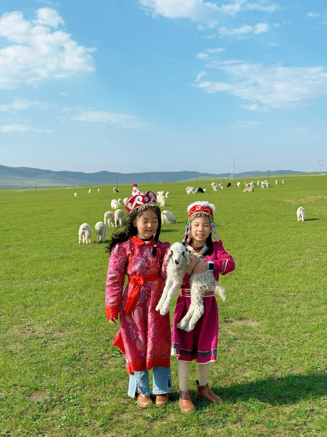 Live图|呼伦贝尔太适合带小胖友来玩了吧~