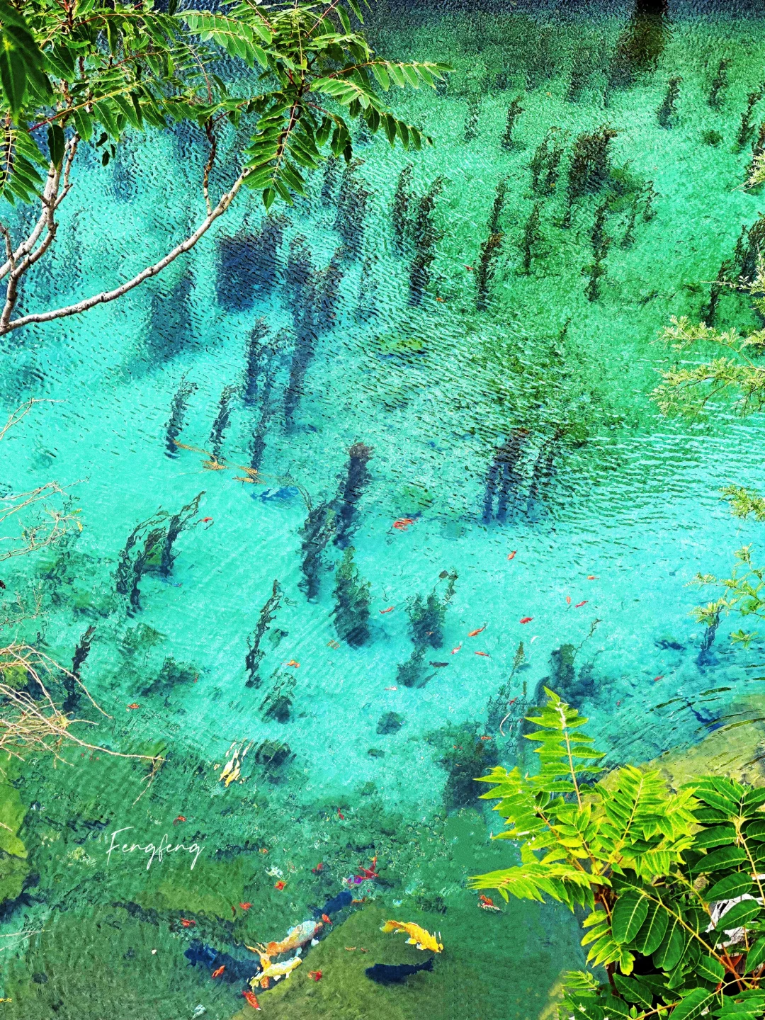 邯郸黑龙洞免费果冻泉！亲子玩水+拍照封神地