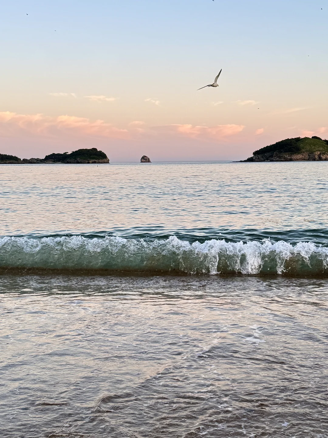 大连！！听劝没去星海，这条路线美翻了（附攻略
