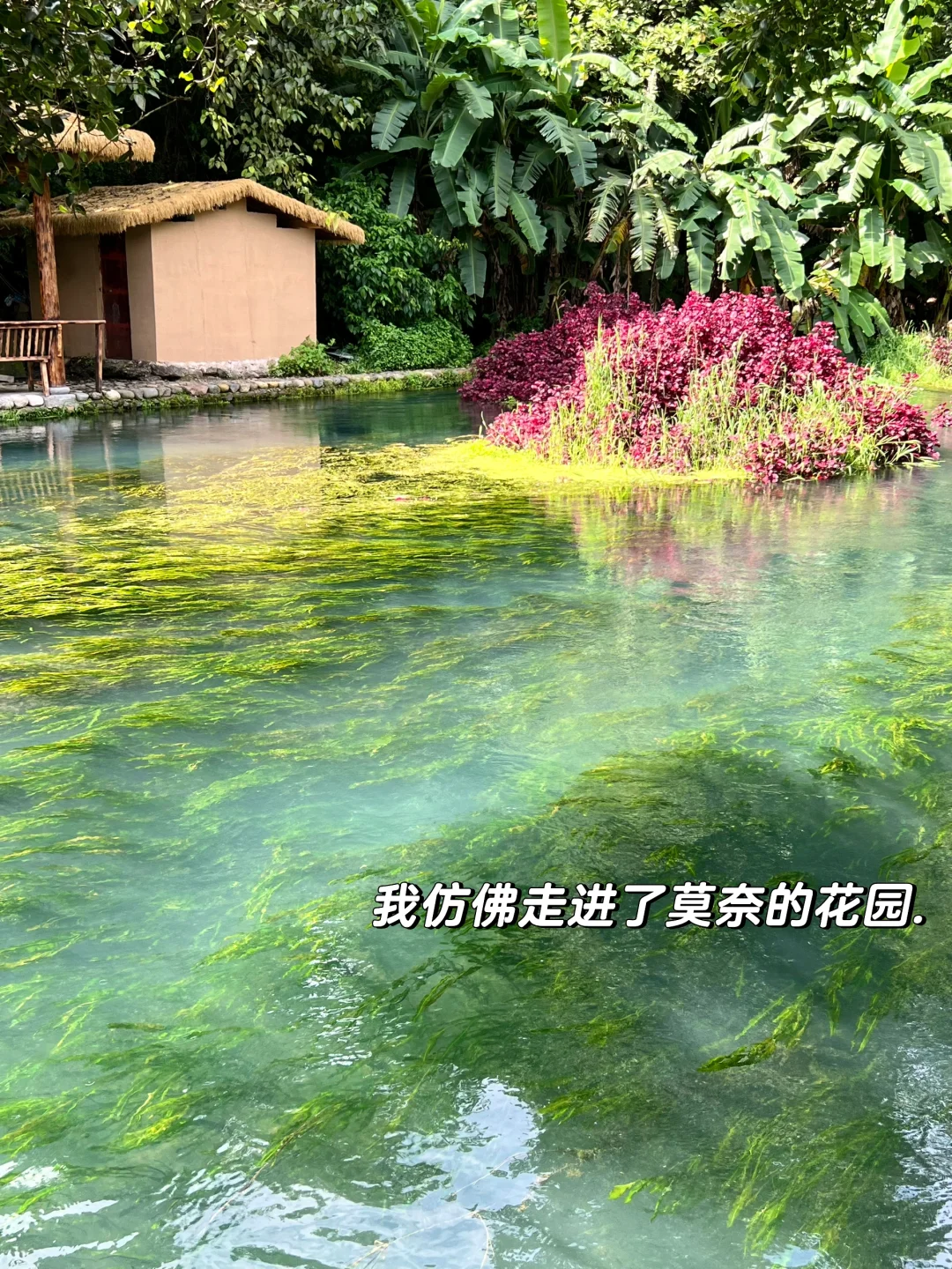 腾冲｜心灵和身体双重治愈的躺玩小城（附地图