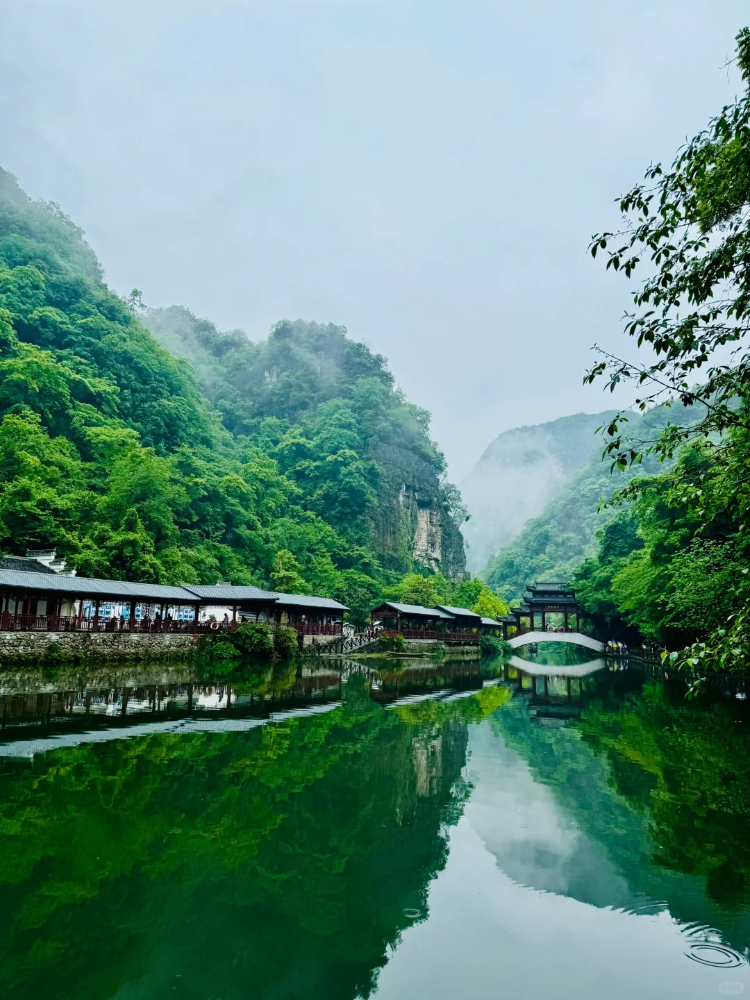 神农架 | 漫步迷雾森林，解锁华中屋脊的神秘