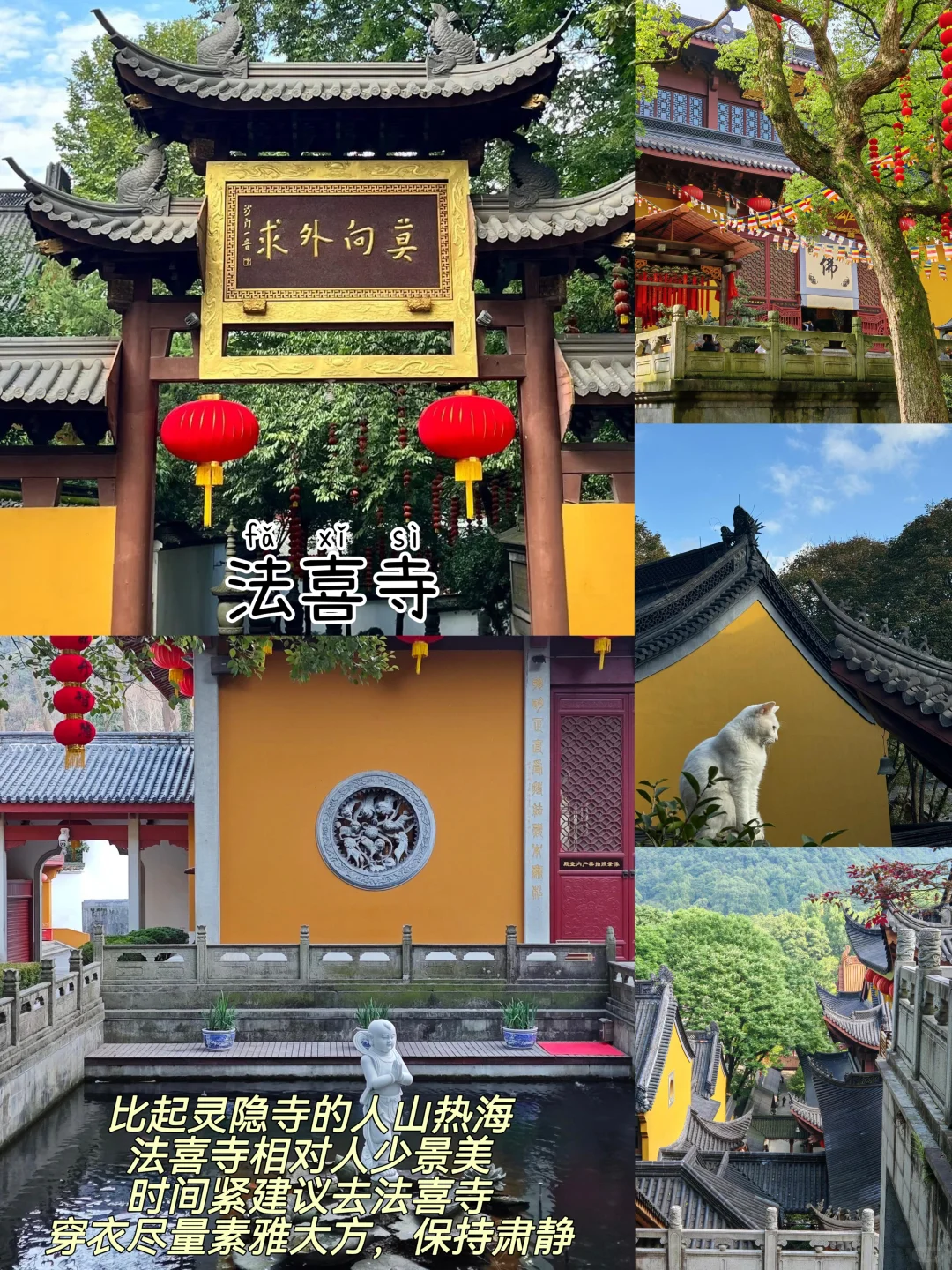 杭州📍两天一夜｜不废腿版保姆级逛吃攻略‼️