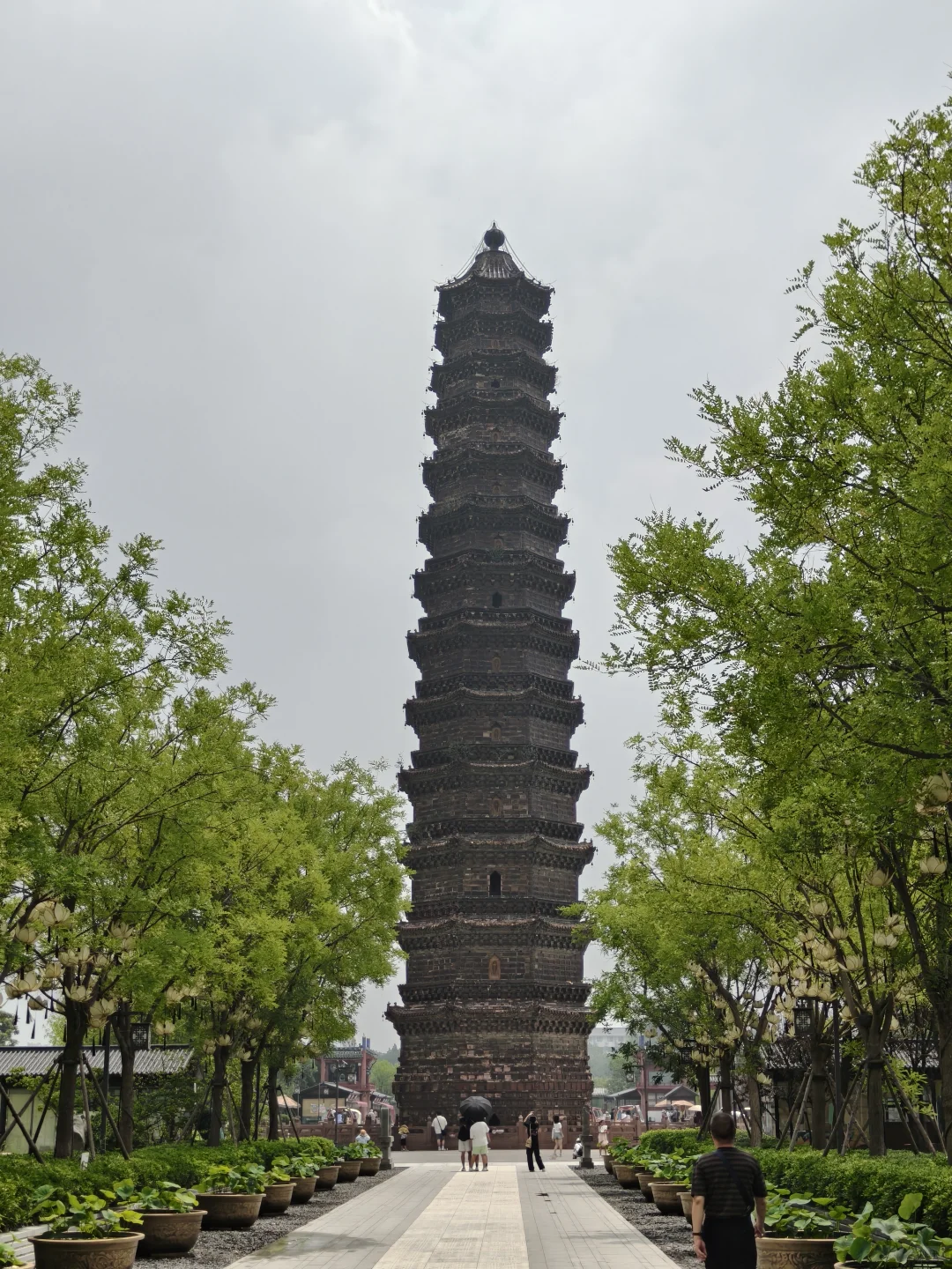 琉璃塔下莲花仙境！这几个机位真的出片