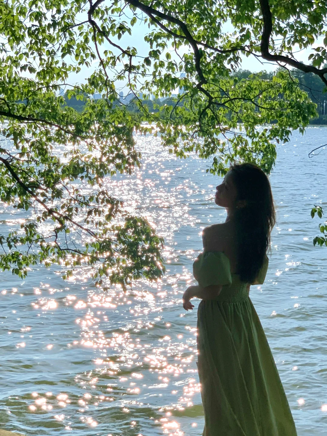 🌴在武汉…花得最值的13r（附N个机位详细攻略