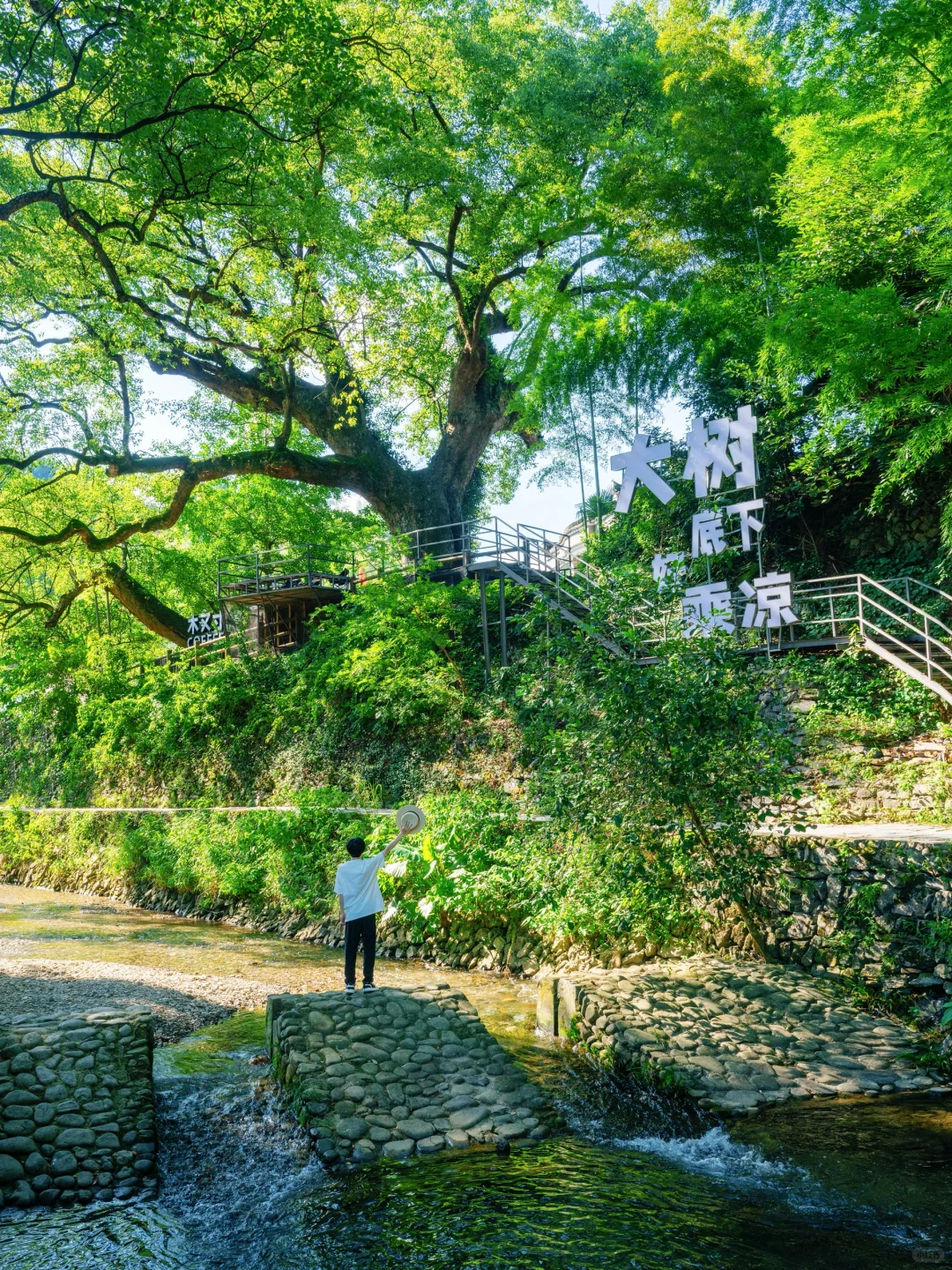 以为西湖已经够美了，直到我去了千岛湖…