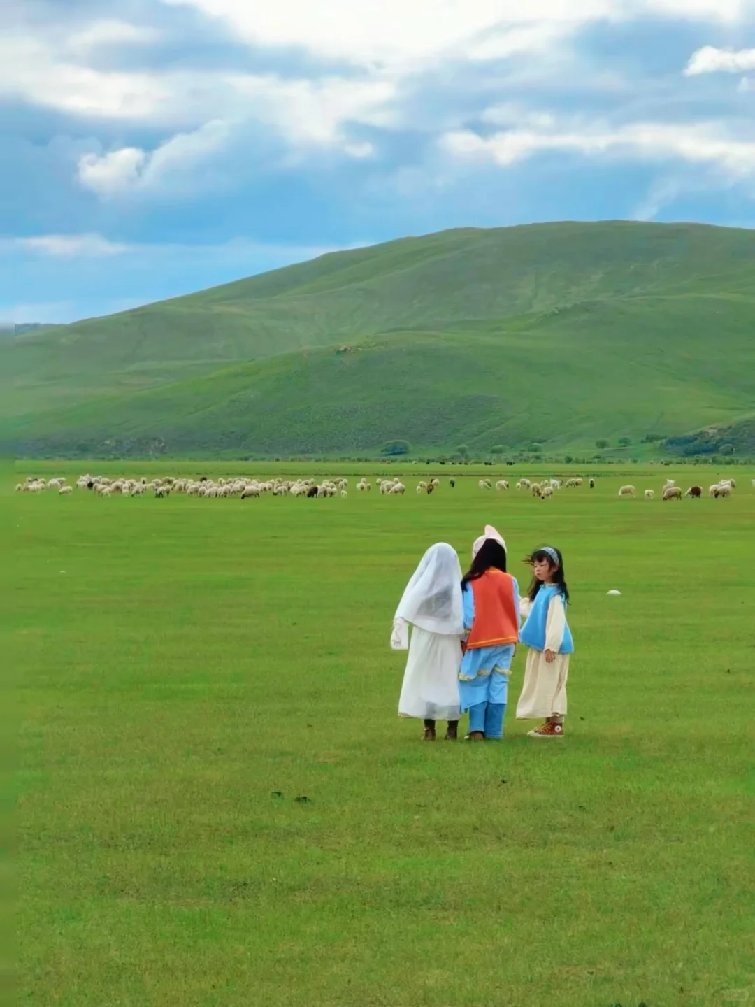 Live图|呼伦贝尔太适合带小胖友来玩了吧~