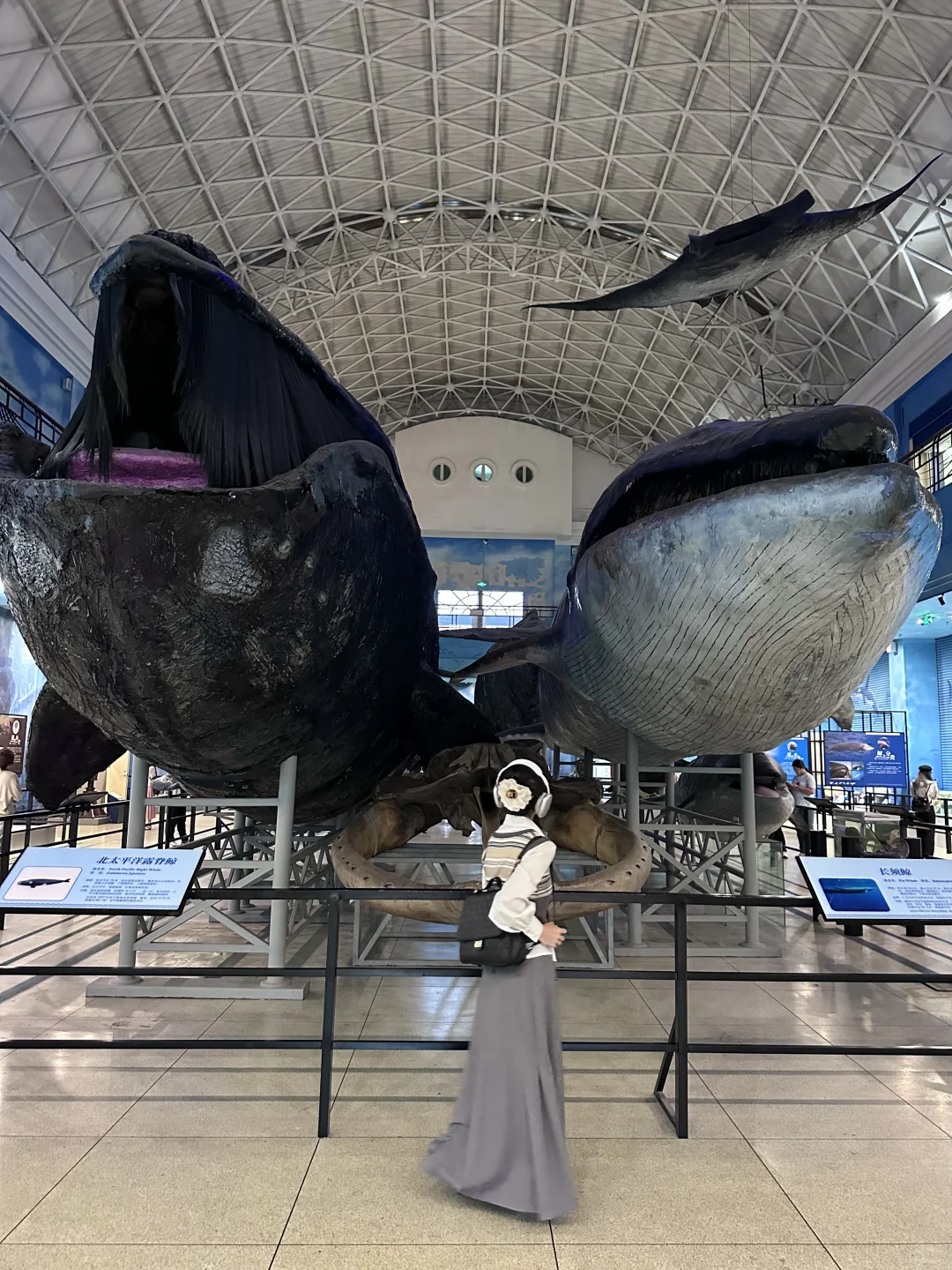 为了这18个地方，想再去一趟大连🌊…全部免费