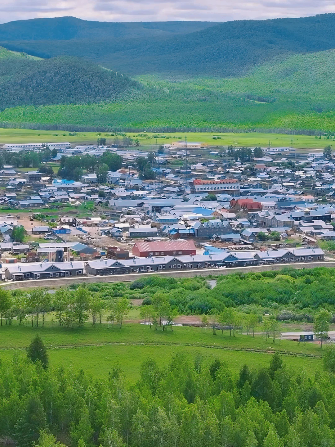 live｜离开呼伦贝尔的后劲比失恋还大😭