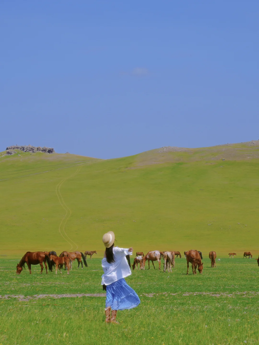 live｜离开呼伦贝尔的后劲比失恋还大😭