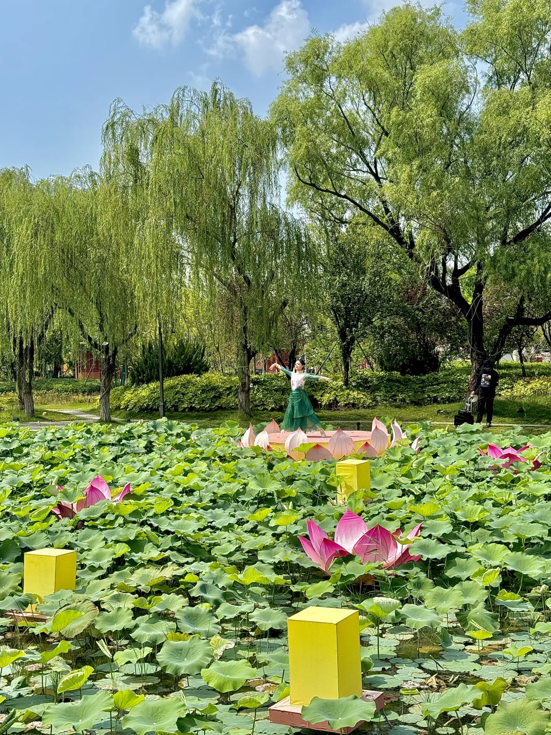 开封最值得看的景区！！没有之一！！！！