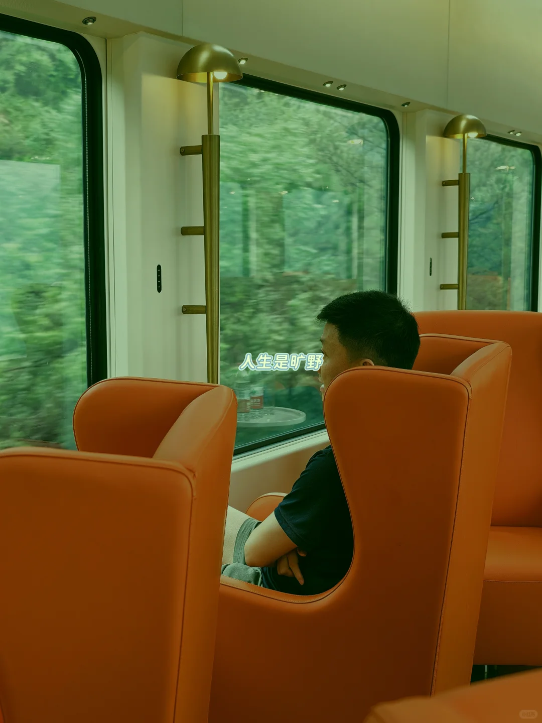 就在国内，我翘首以盼的全景列车终于出现