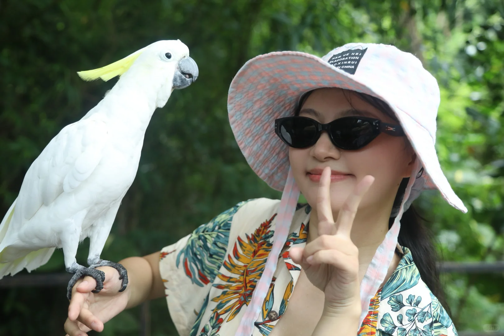 清凉海岛怎么玩？保亭超绝热带雨林了解一下！