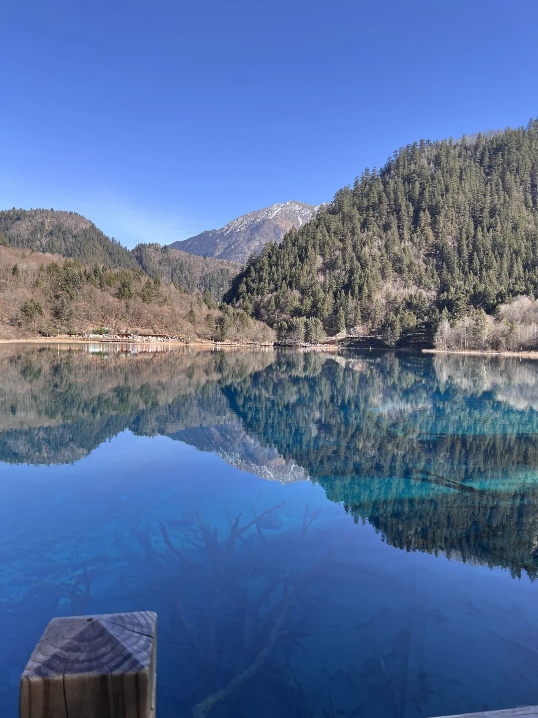 关于九寨沟💧大学生有话要说