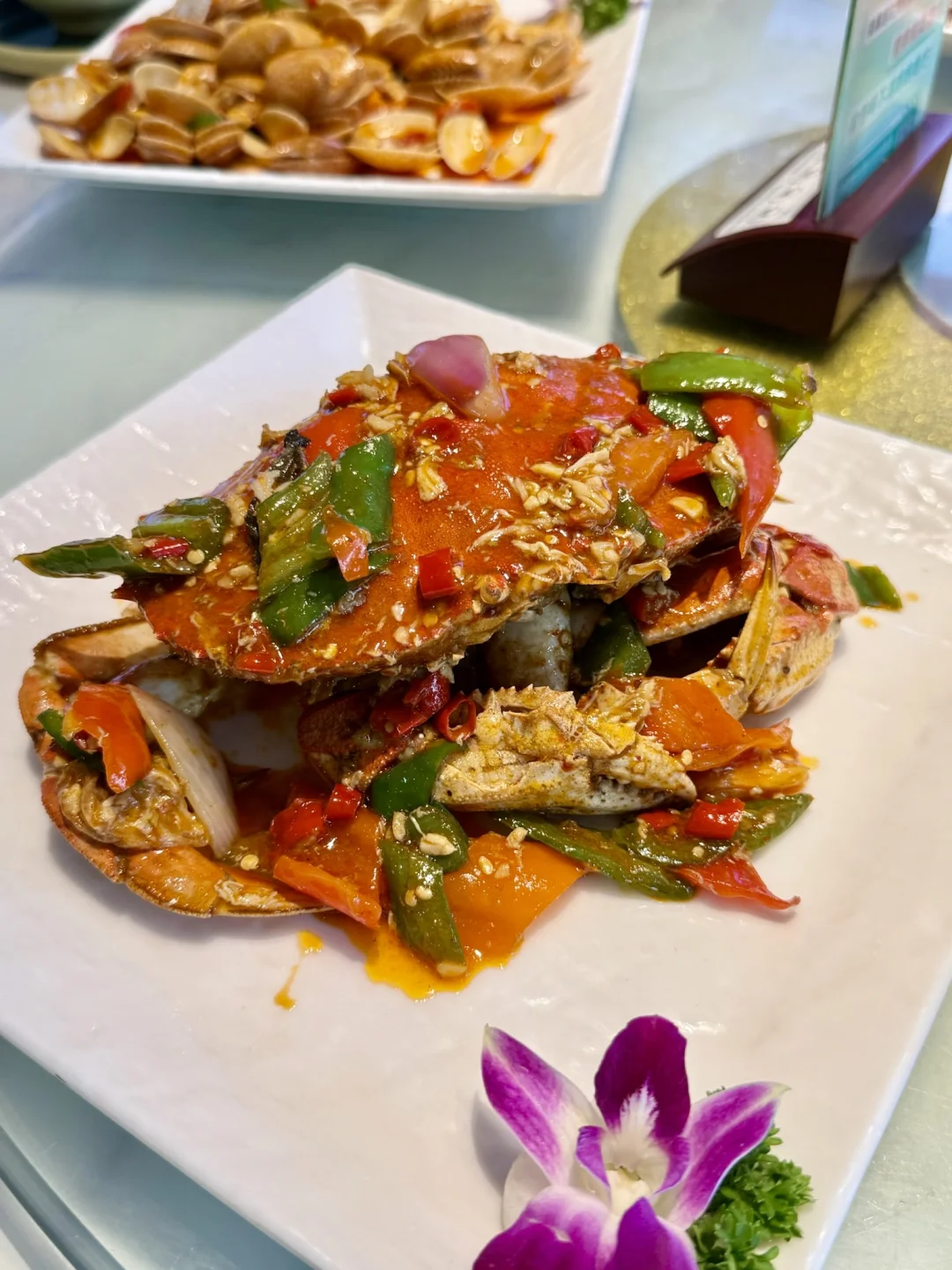 跟三亚土著吃海鲜🦞这家老店太赞了‼️