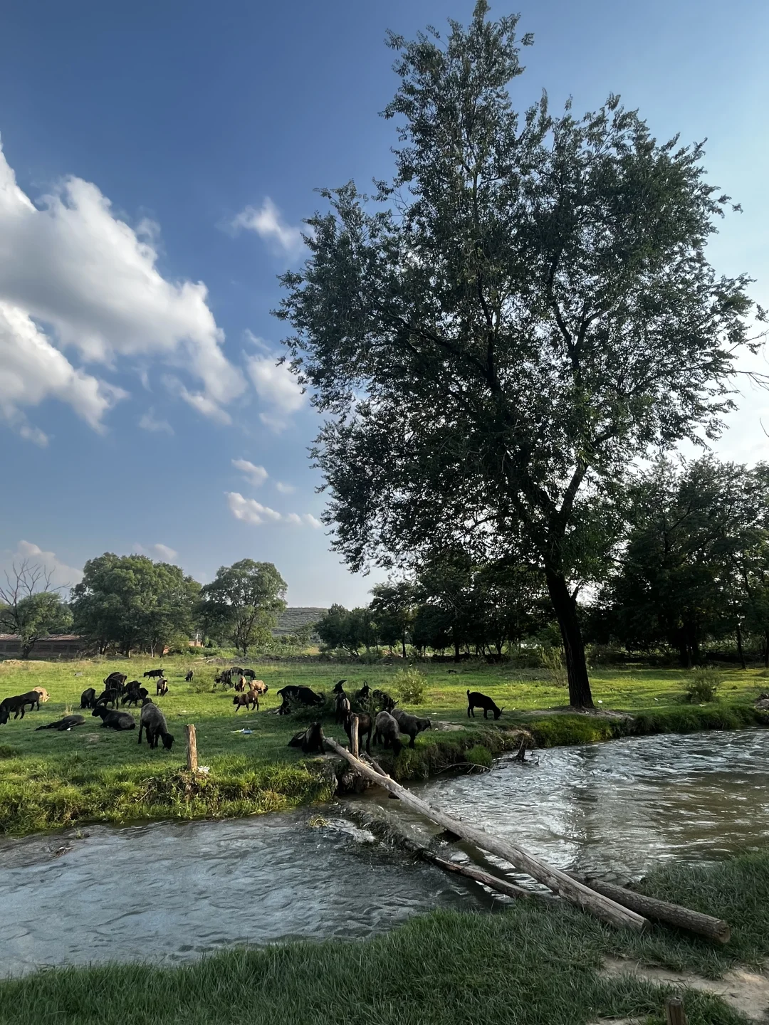 属于河北人自己的阿勒泰