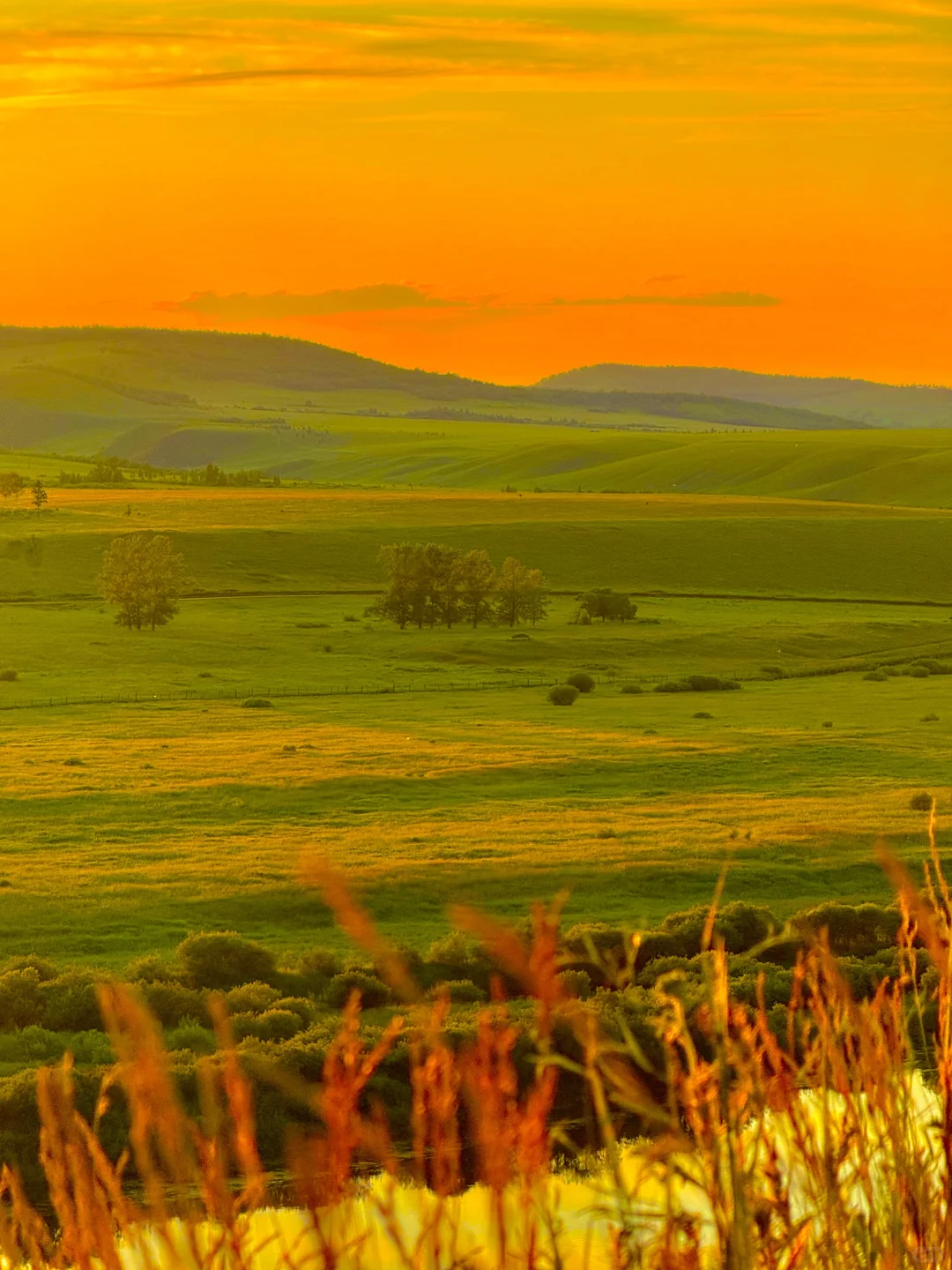 呼伦贝尔晚霞杀疯了！！！！！！！