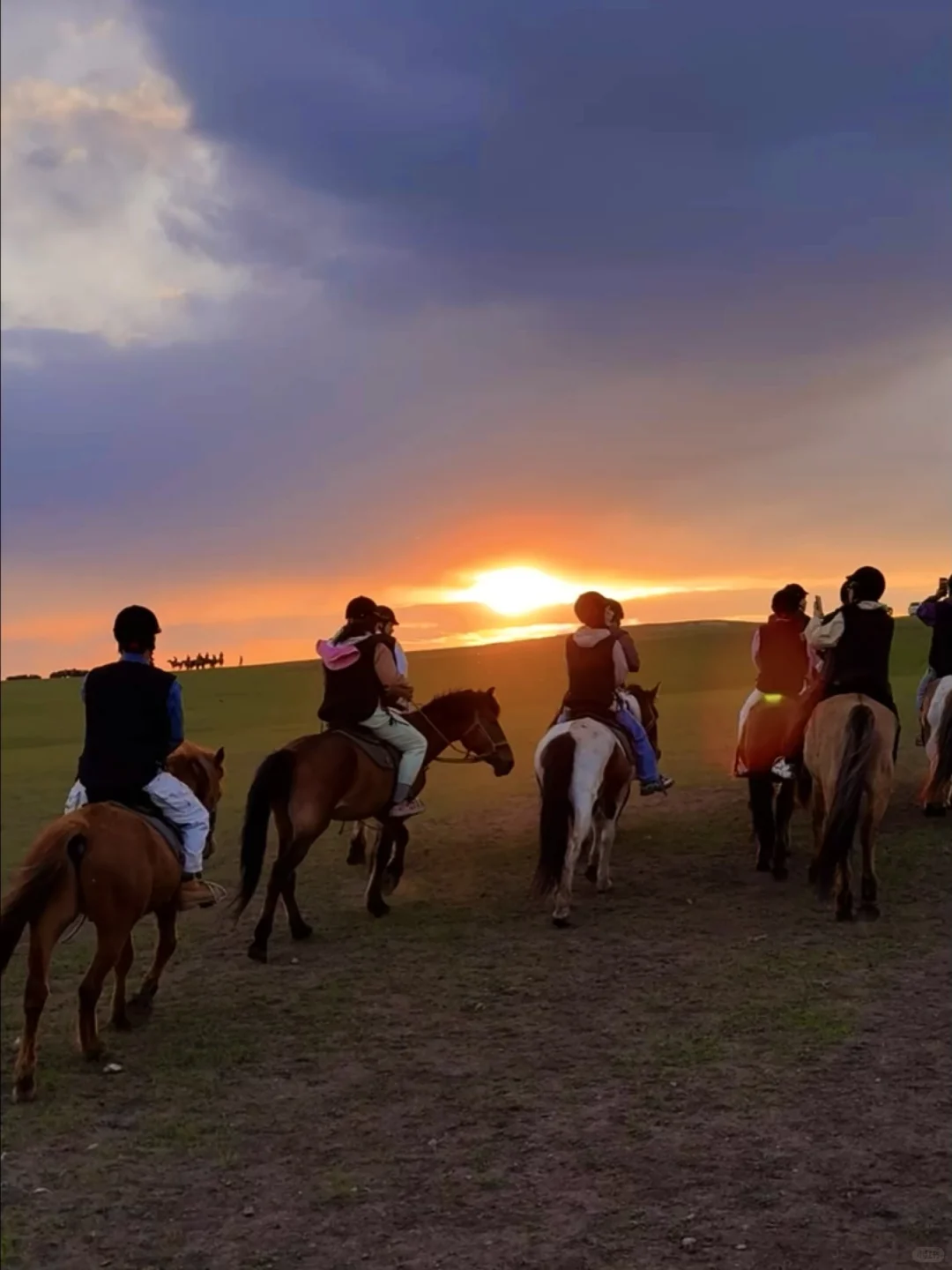 Live图|呼伦贝尔太适合带小胖友来玩了吧~