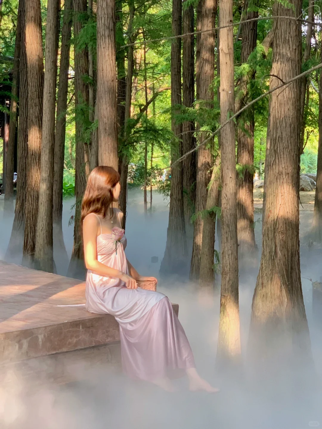 🌴在武汉…花得最值的13r（附N个机位详细攻略