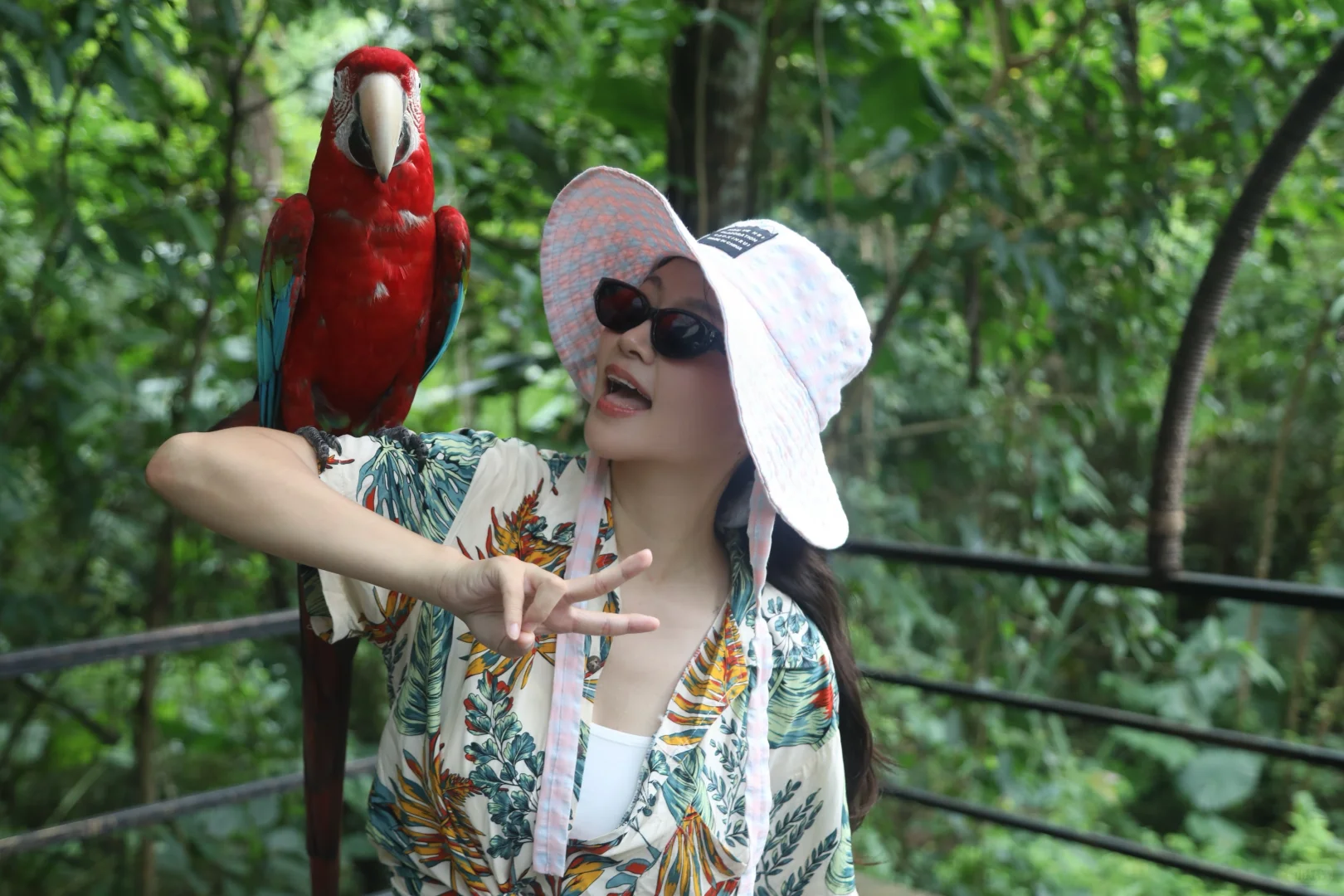 清凉海岛怎么玩？保亭超绝热带雨林了解一下！