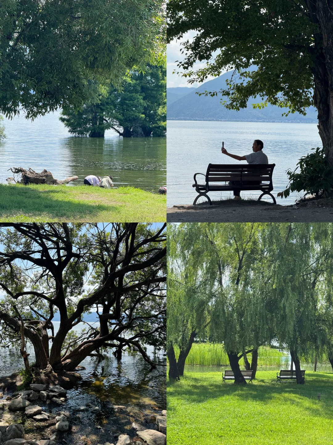 带娃去大理 不费妈的旅游攻略（一）🔥