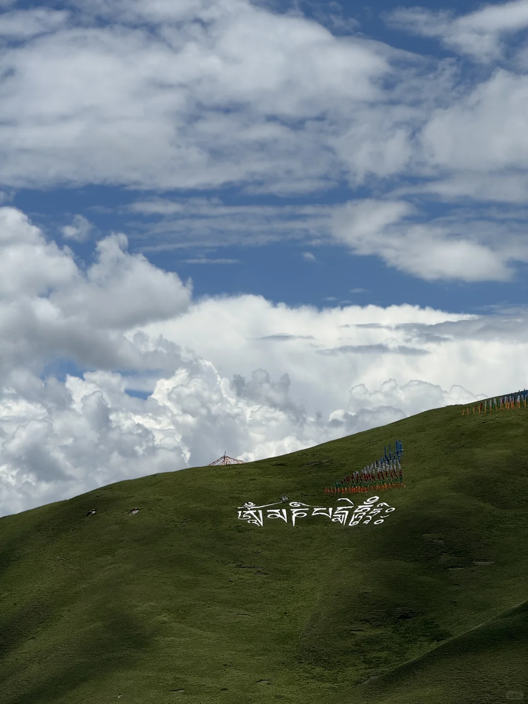 神级Live｜这就是川西夏天的含金量